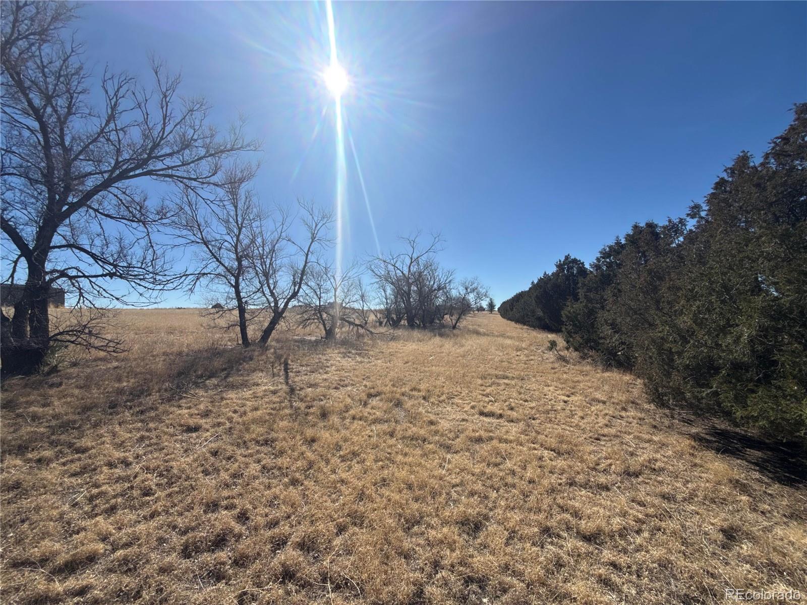 28894 Highway 24 Stratton, CO 80836 - Photo 30 of 41 a view of dirt yard with a tree