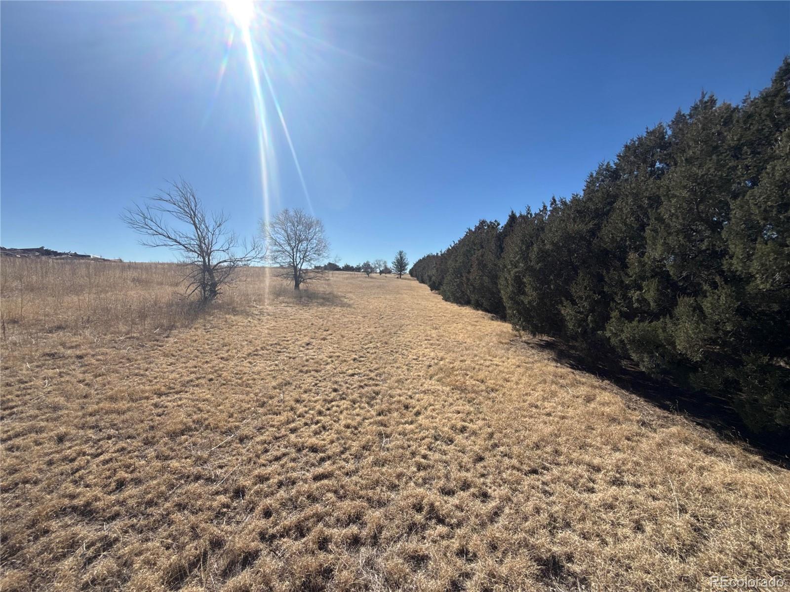 28894 Highway 24 Stratton, CO 80836 - Photo 39 of 41 a view of a yard with wooden fence