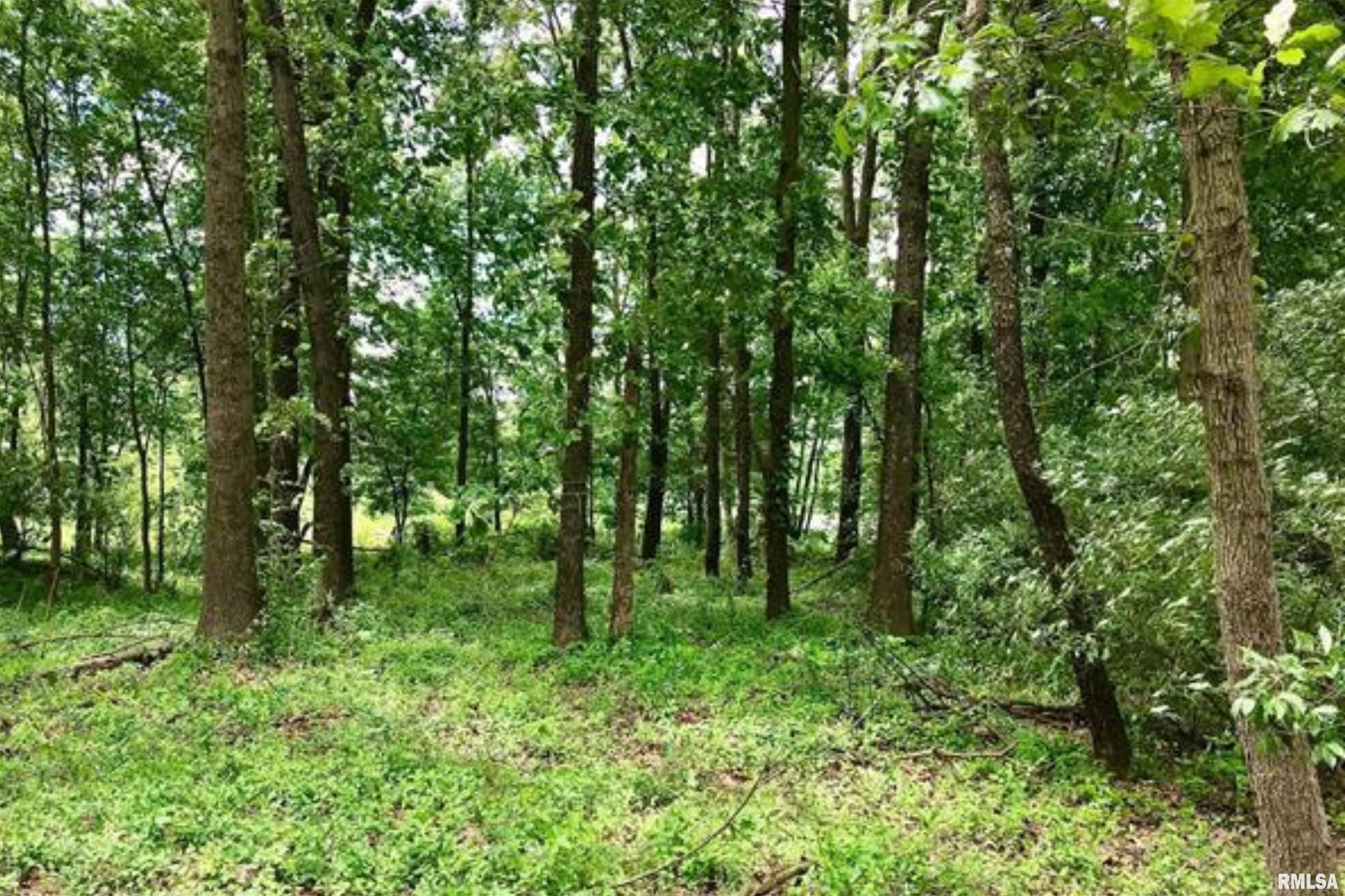 Tbd Eastland Road Marion, IL 62959 - Photo 1 of 4