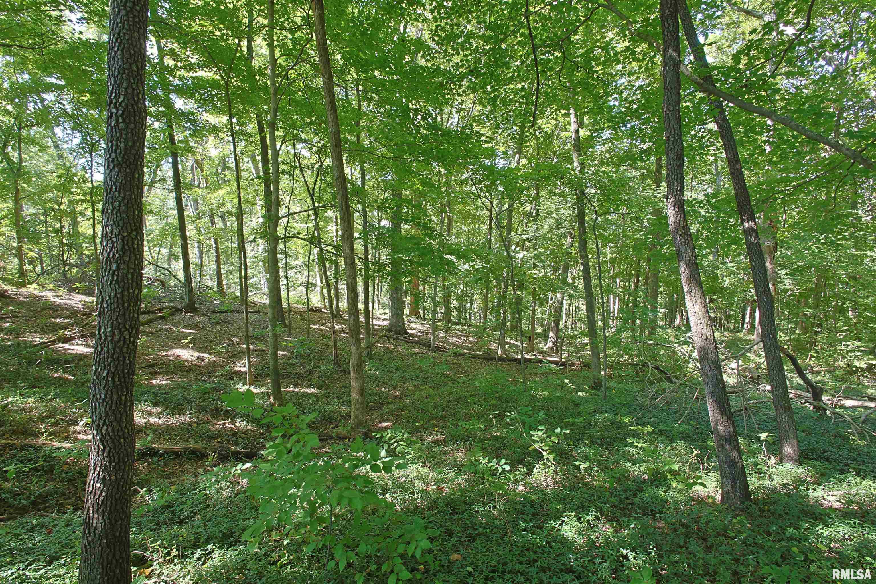 Tbd Eastland Road Marion, IL 62959 - Photo 2 of 4