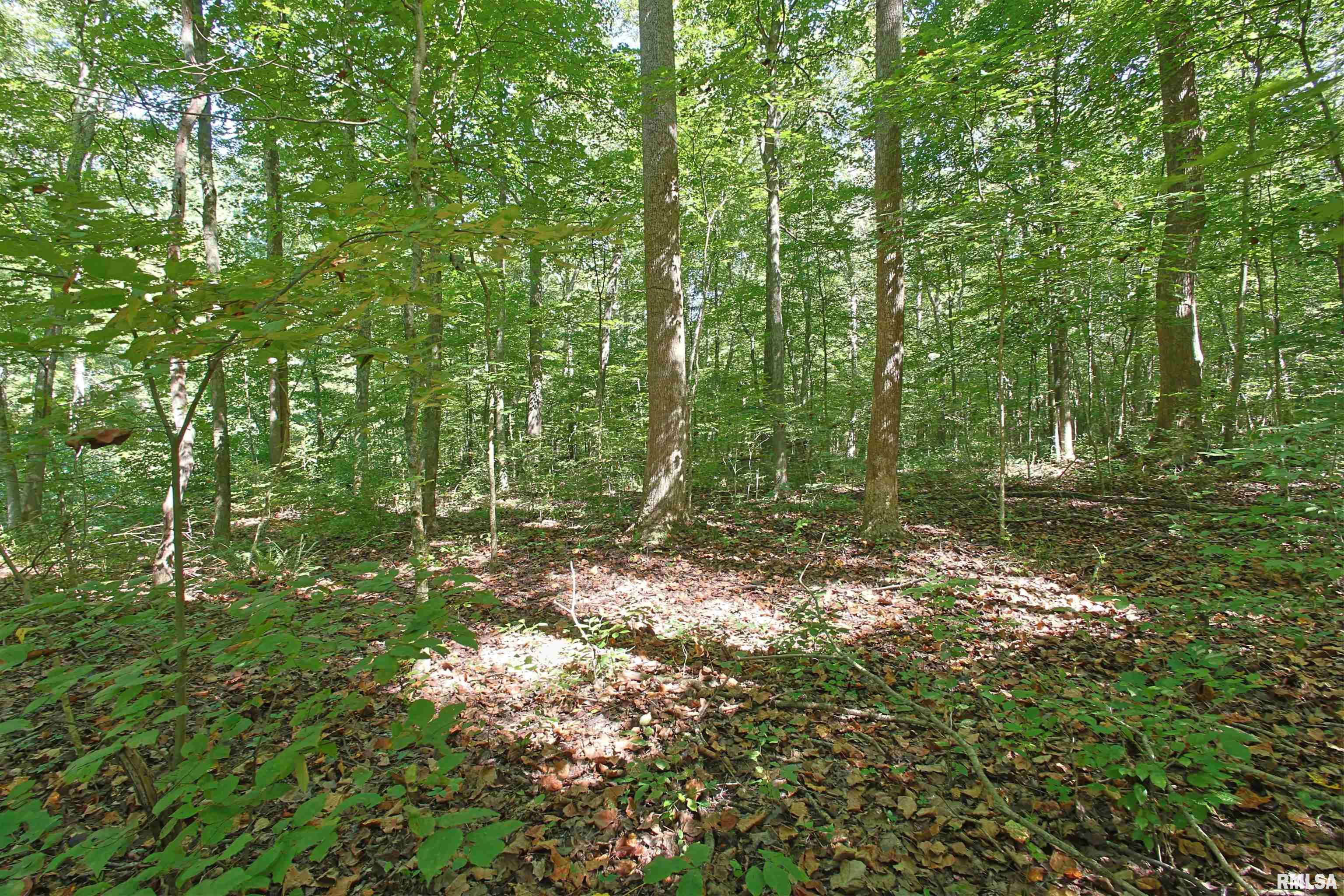 Tbd Eastland Road Marion, IL 62959 - Photo 4 of 4