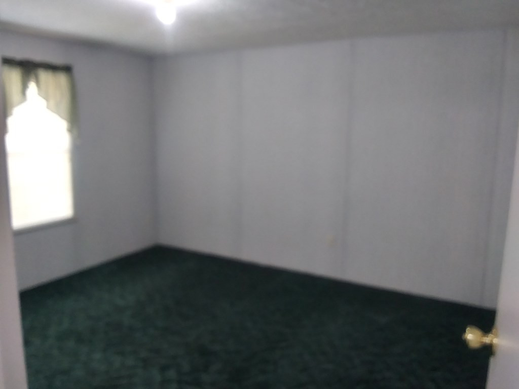 387 Buckboard Road Wagener, SC 29164 - Photo 17 of 47