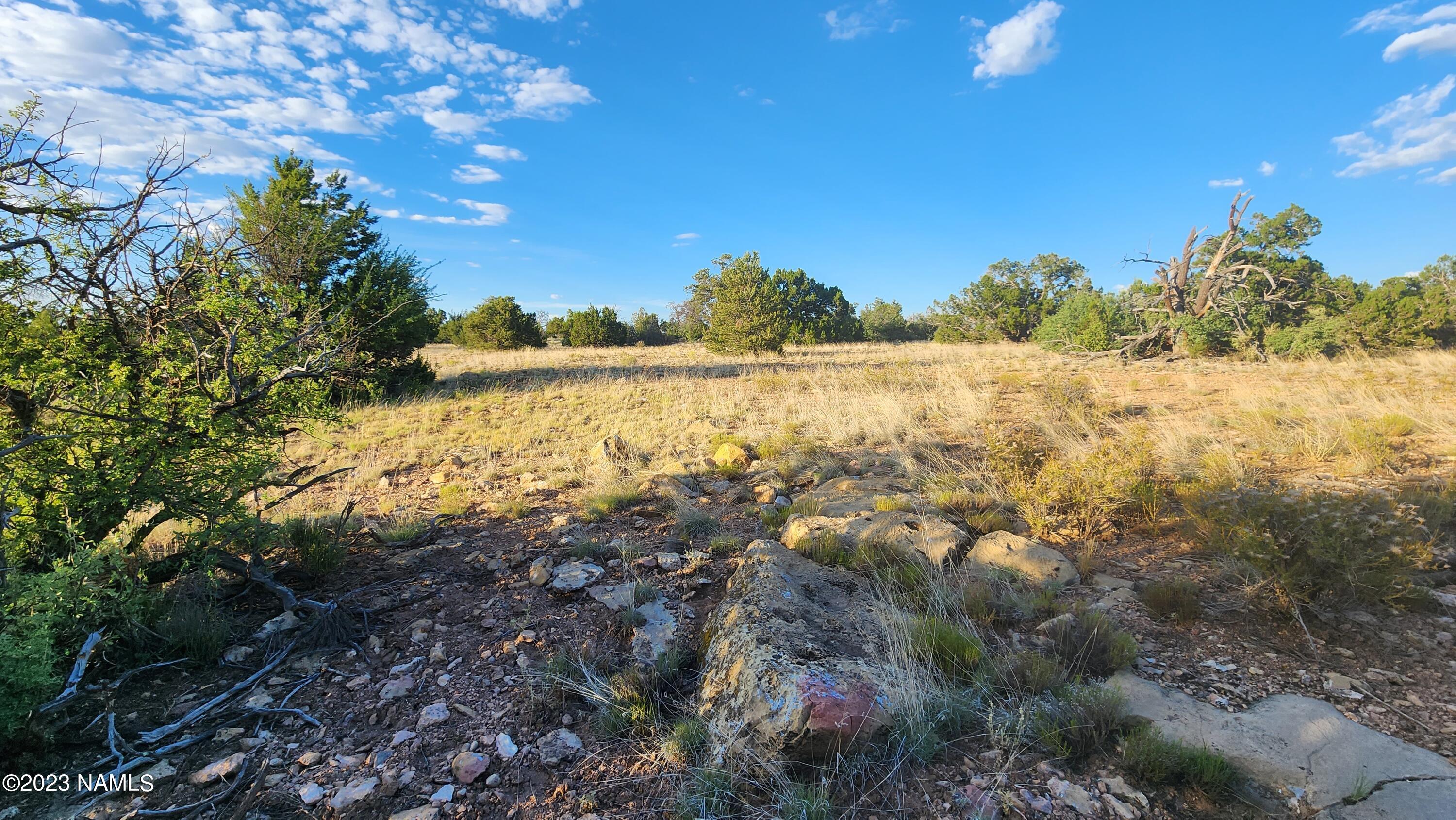 5854 South Estrella Road Williams, AZ 86046 - Photo 3 of 26 20230719_183708
