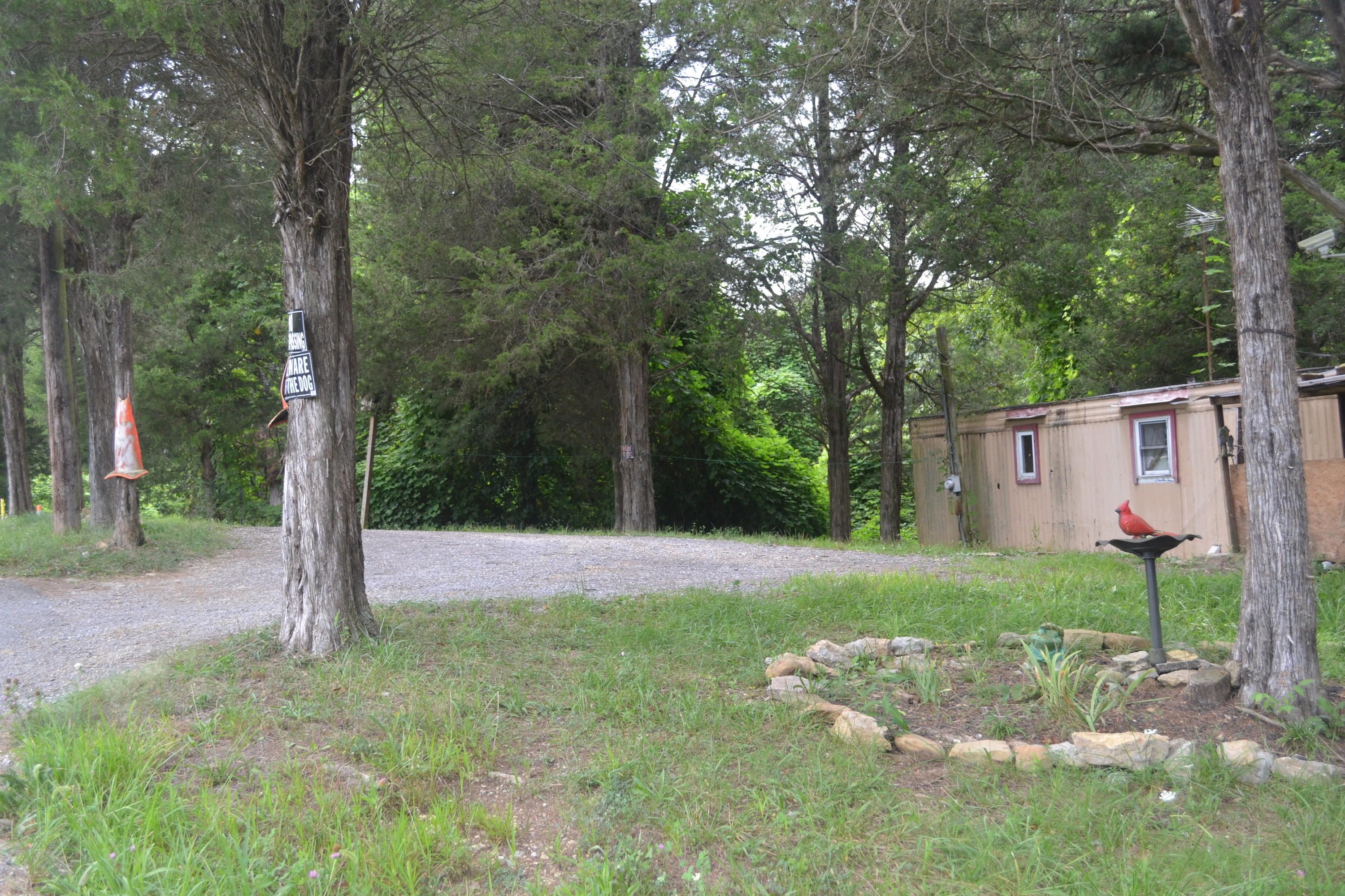 9017 Curtis Road Strawberry Plains, TN 37871 - Photo 2 of 4 DSC_0178