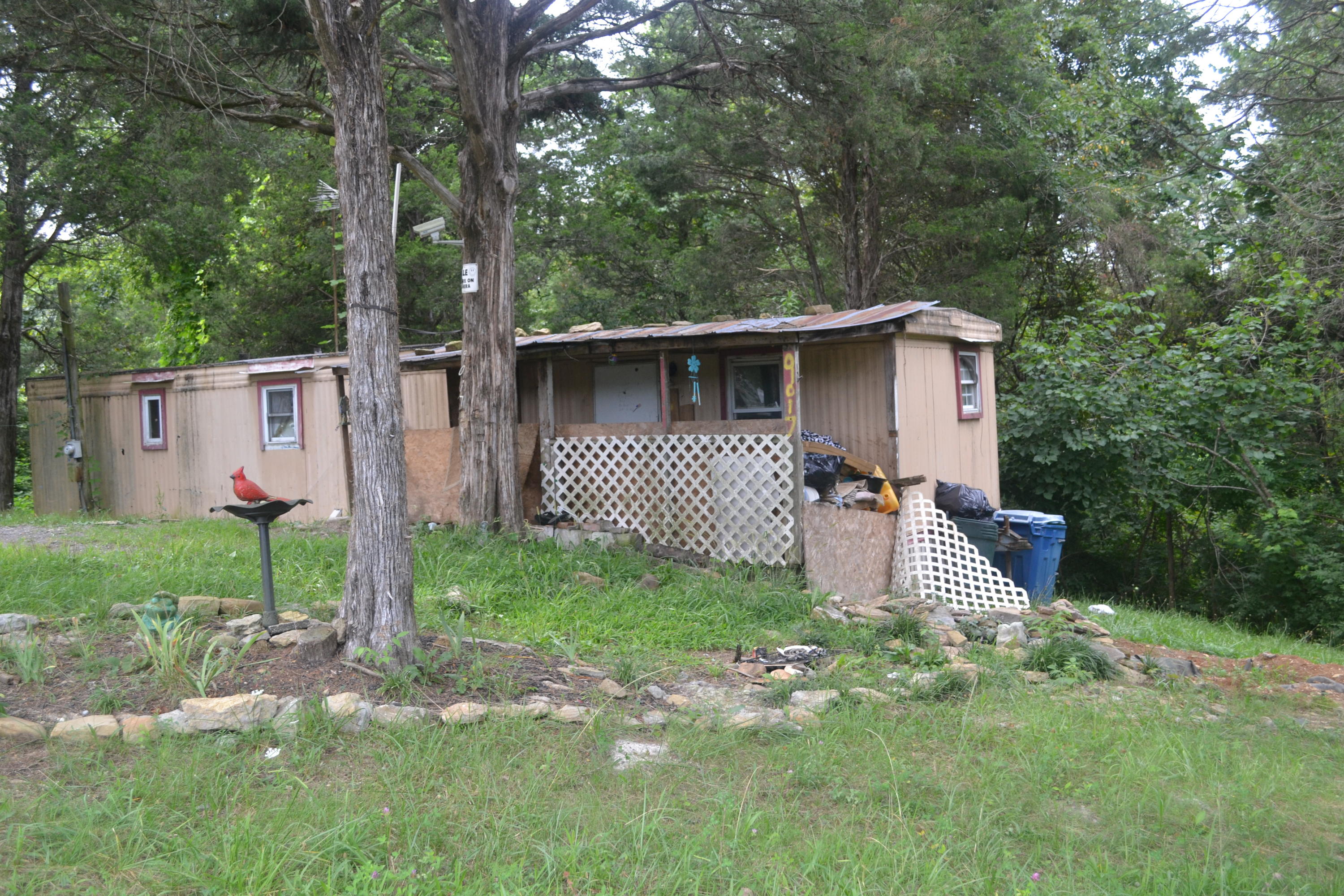 9017 Curtis Road Strawberry Plains, TN 37871 - Photo 3 of 4 DSC_0175