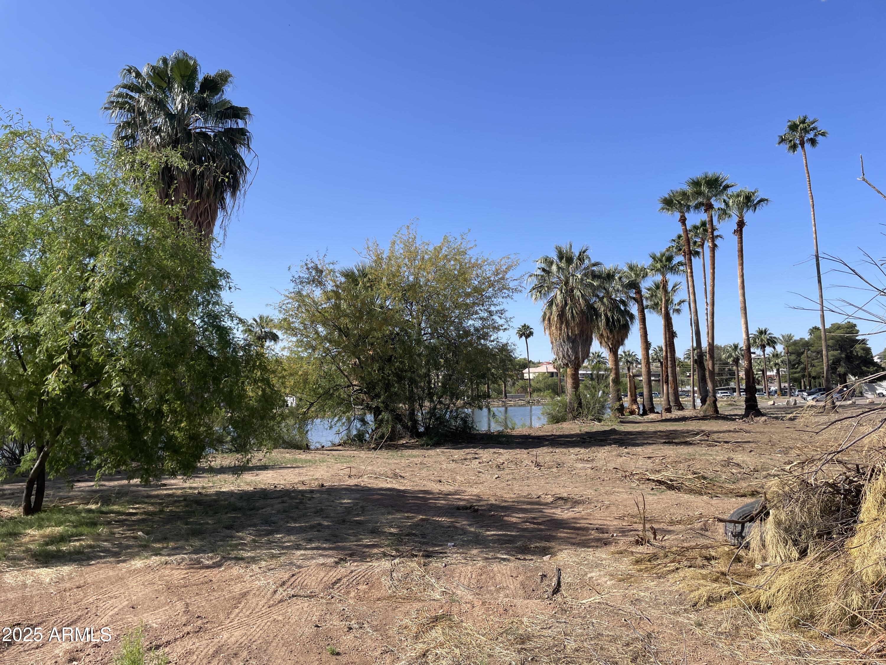 1393 East Silver King Road, Unit 1 Queen Valley, AZ 85118 - Photo 2 of 9 a view of a backyard of a house