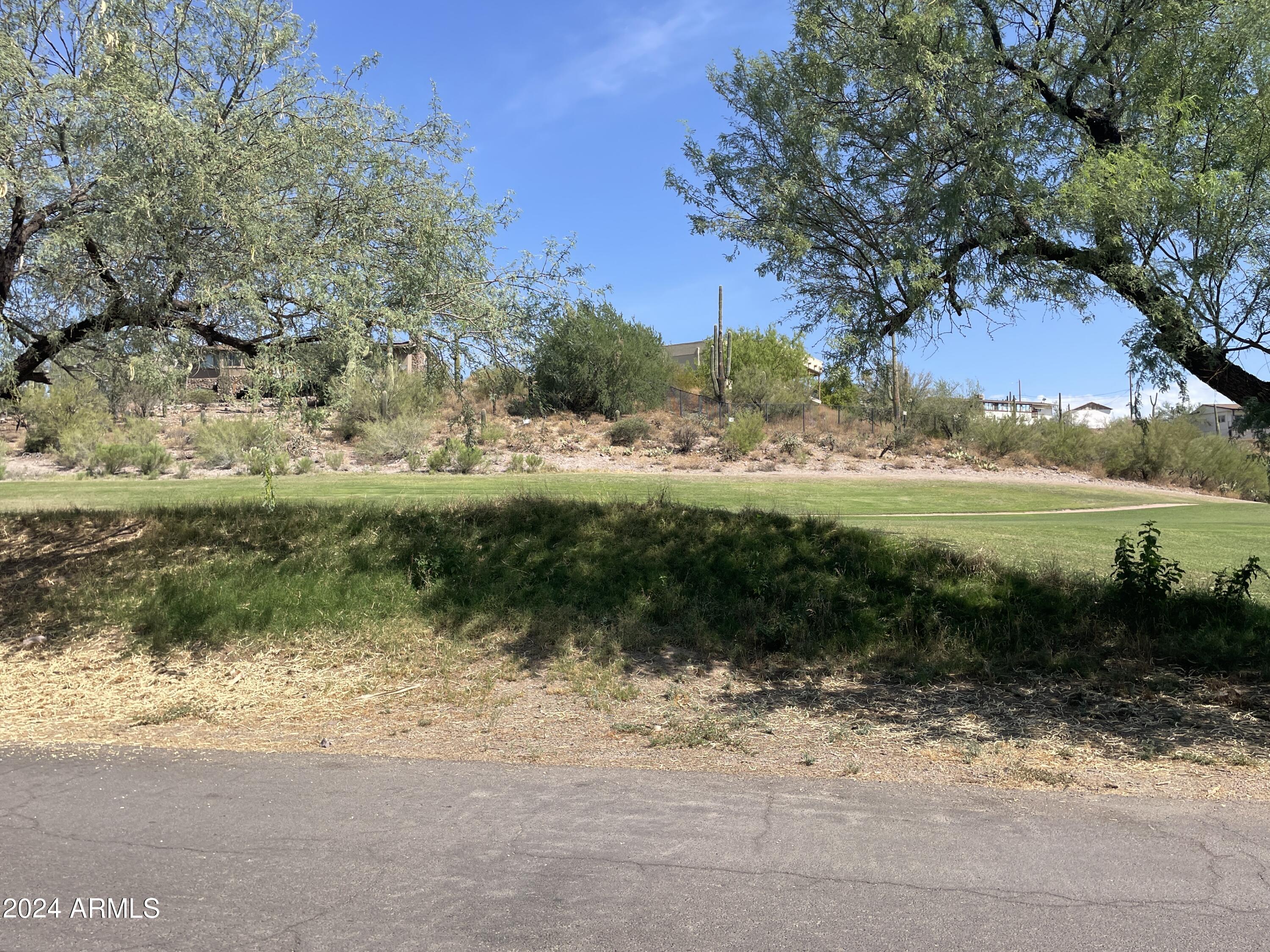1393 East Silver King Road, Unit 1 Queen Valley, AZ 85118 - Photo 3 of 9 a view of a lake with a yard