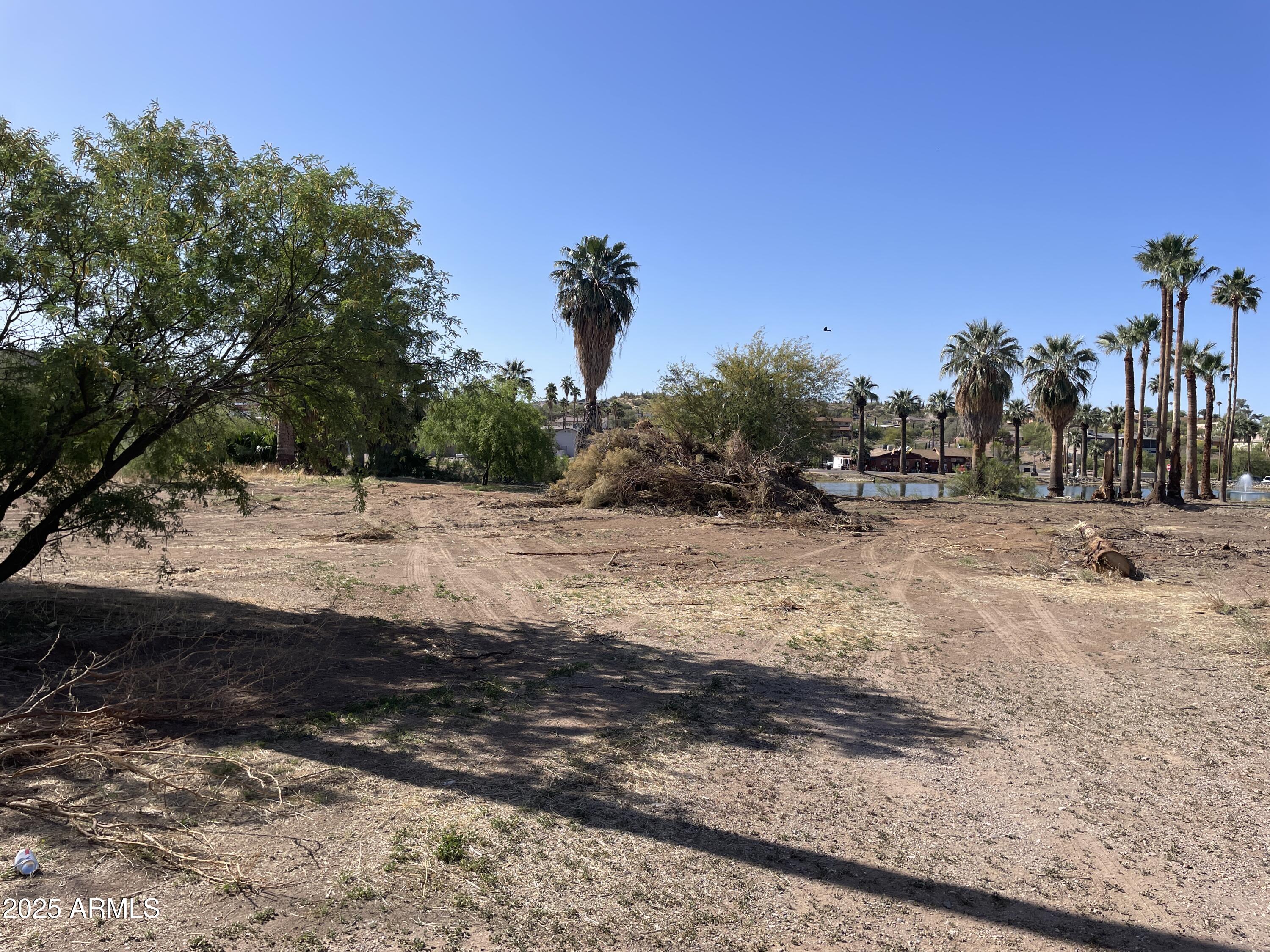 1393 East Silver King Road, Unit 1 Queen Valley, AZ 85118 - Photo 4 of 9 a view of dirt yard with a large tree