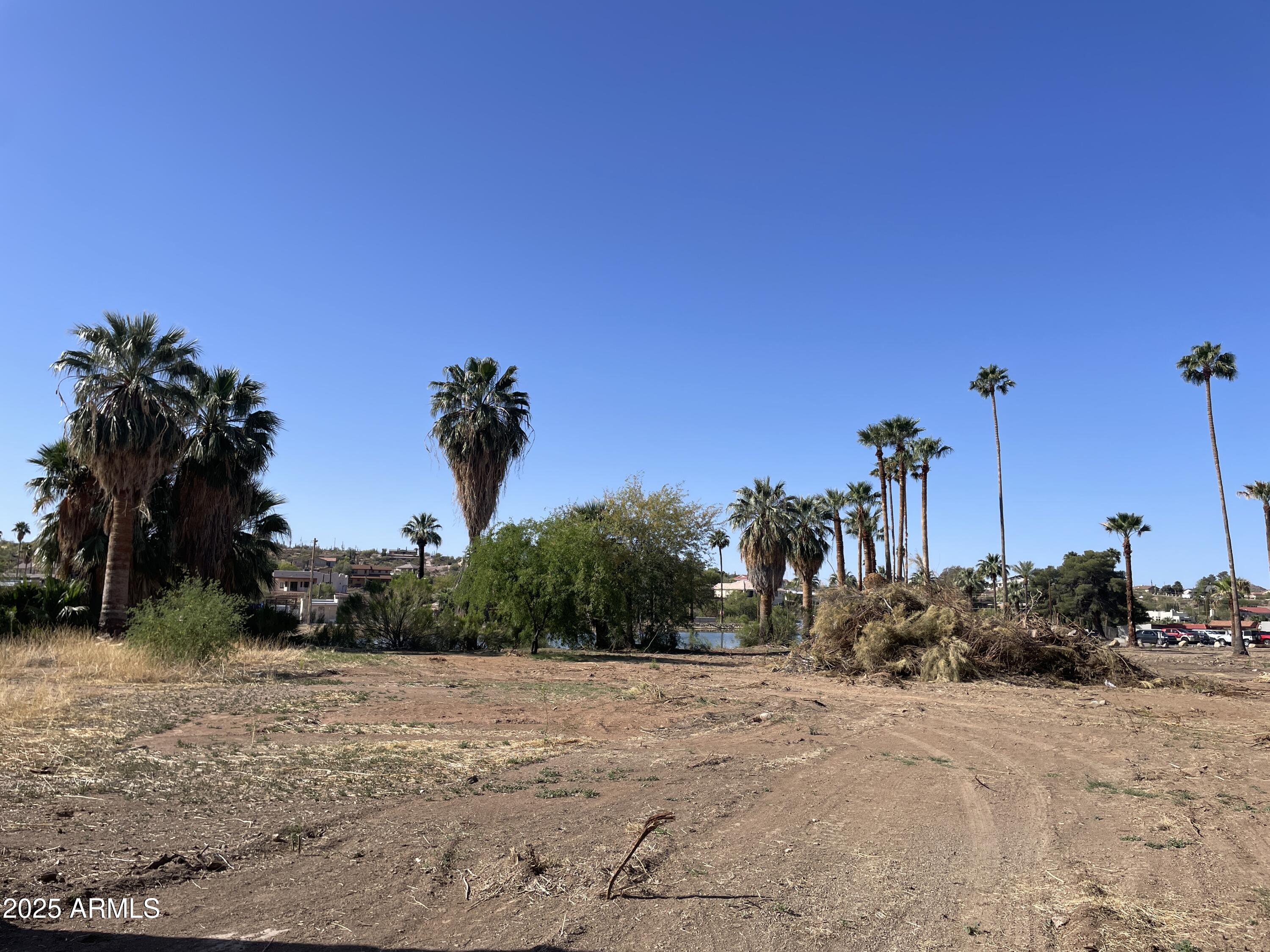 1393 East Silver King Road, Unit 1 Queen Valley, AZ 85118 - Photo 6 of 9 a view of a backyard of a house
