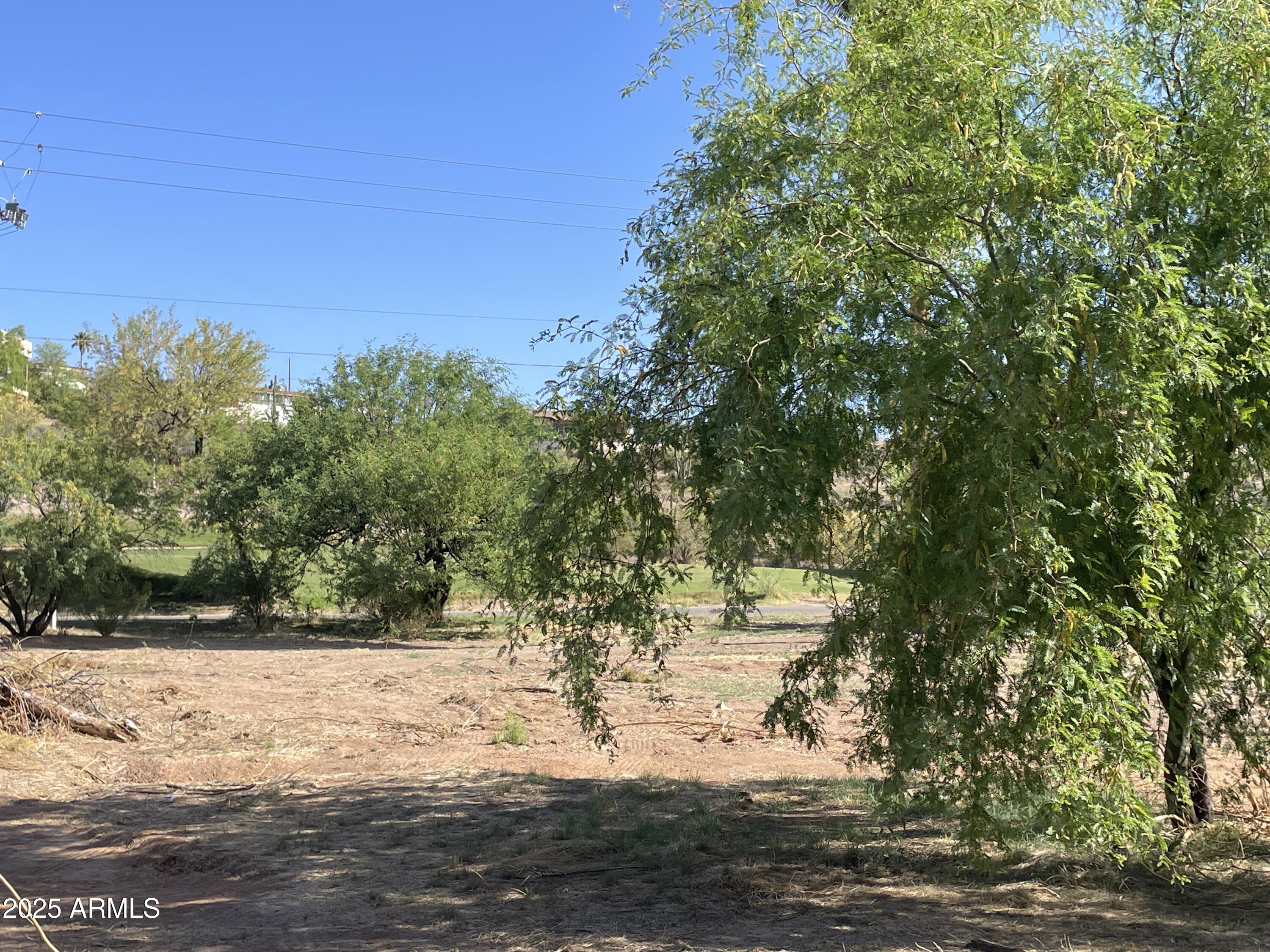 1393 East Silver King Road, Unit 1 Queen Valley, AZ 85118 - Photo 8 of 9 a view of a yard with an trees