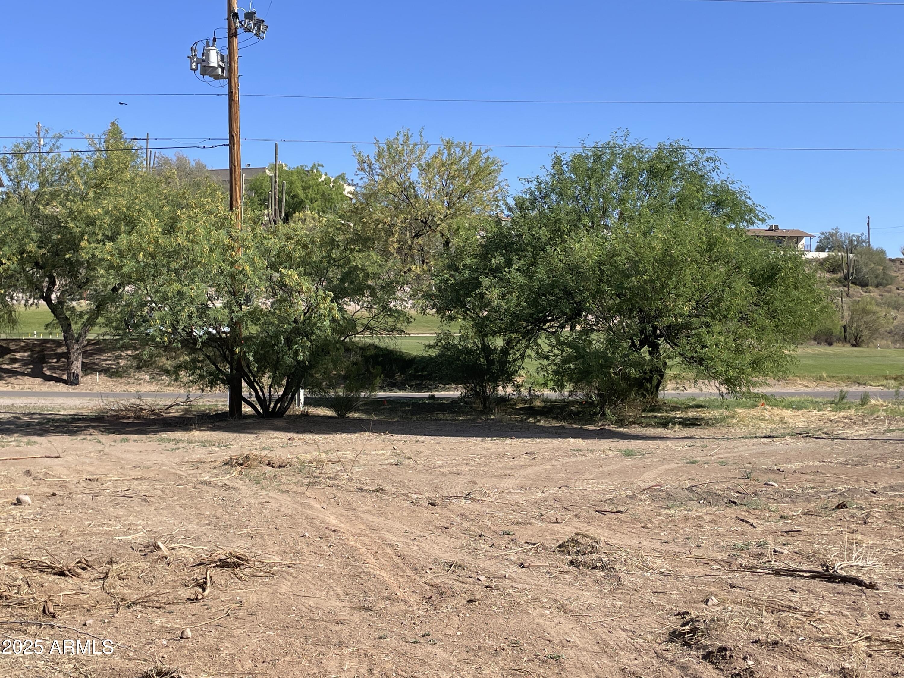 1393 East Silver King Road, Unit 1 Queen Valley, AZ 85118 - Photo 9 of 9 a view of a yard with a tree