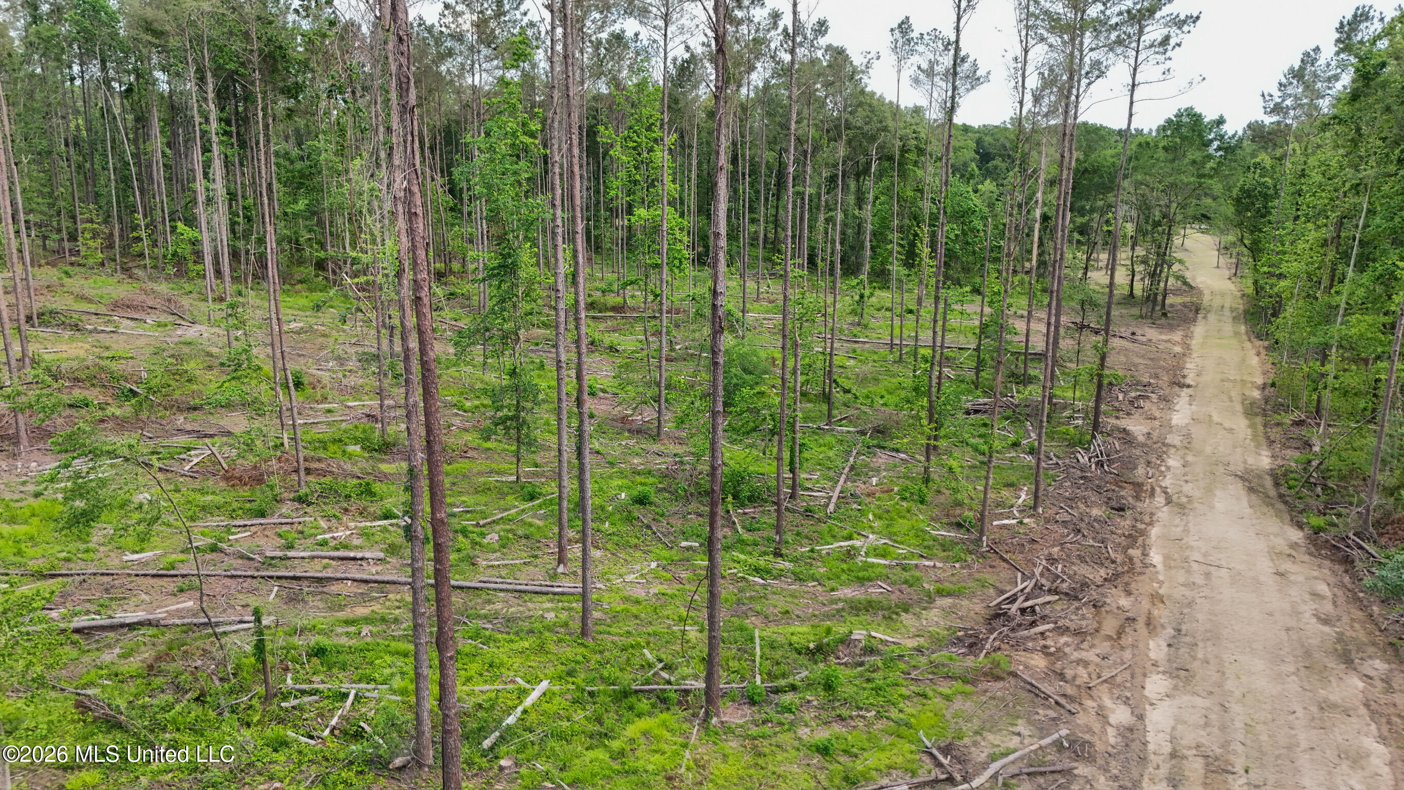 Lorance Road Clinton, MS 39056 - Photo 14 of 25 dji_fly_20260519_183220_0143_17792417648