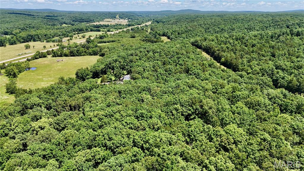 9945 Highway 67 Fredericktown, MO 63645 - Photo 16 of 32