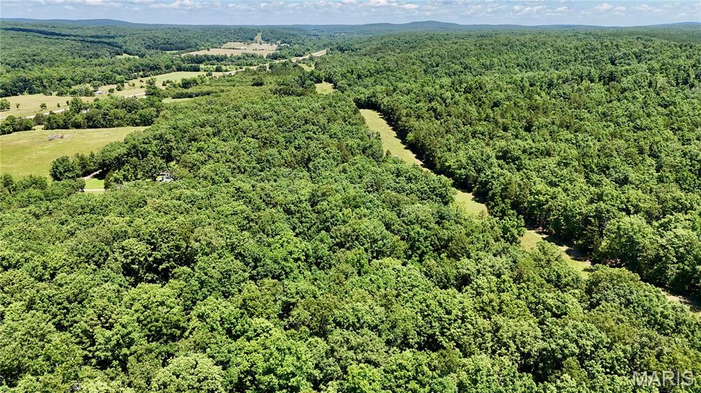 9945 Highway 67 Fredericktown, MO 63645 - Photo 17 of 32