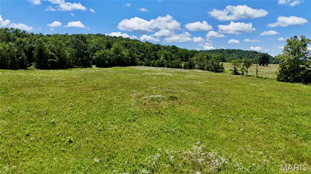 9945 Highway 67 Fredericktown, MO 63645 - Photo 23 of 32