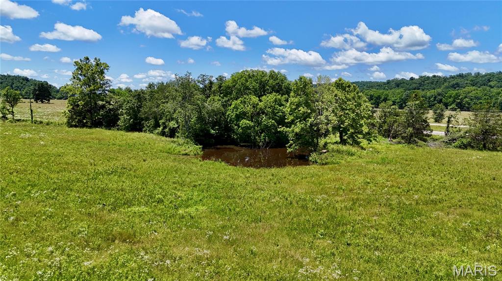 9945 Highway 67 Fredericktown, MO 63645 - Photo 24 of 32