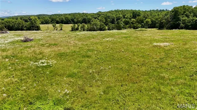 $725,000 | 9945 Highway 67, Fredericktown, MO 63645