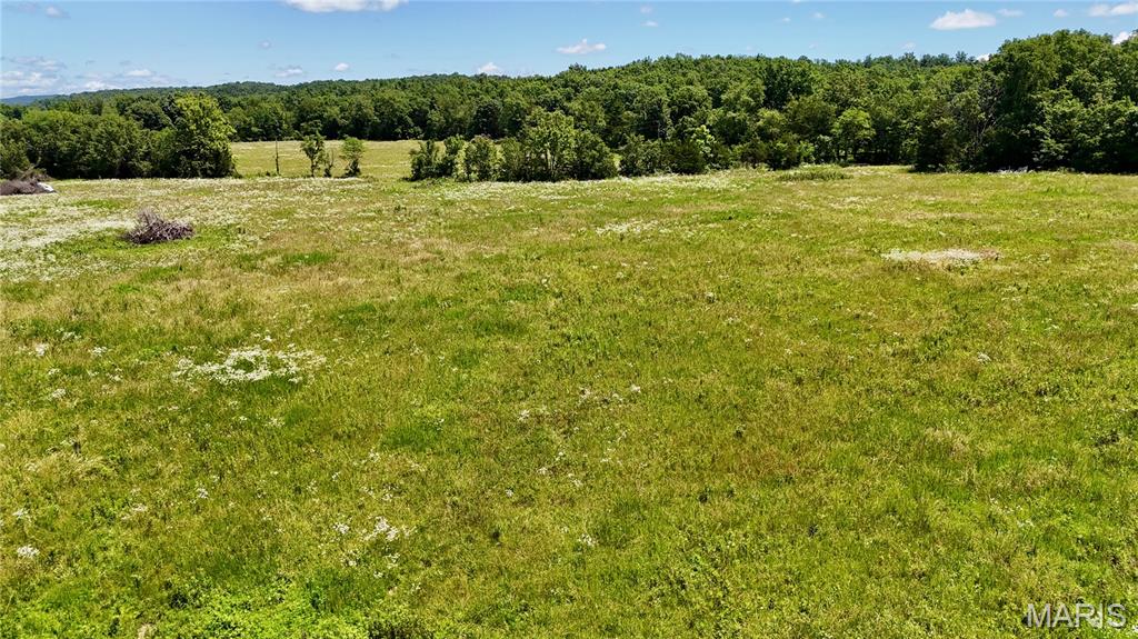 9945 Highway 67 Fredericktown, MO 63645 - Photo 7 of 32