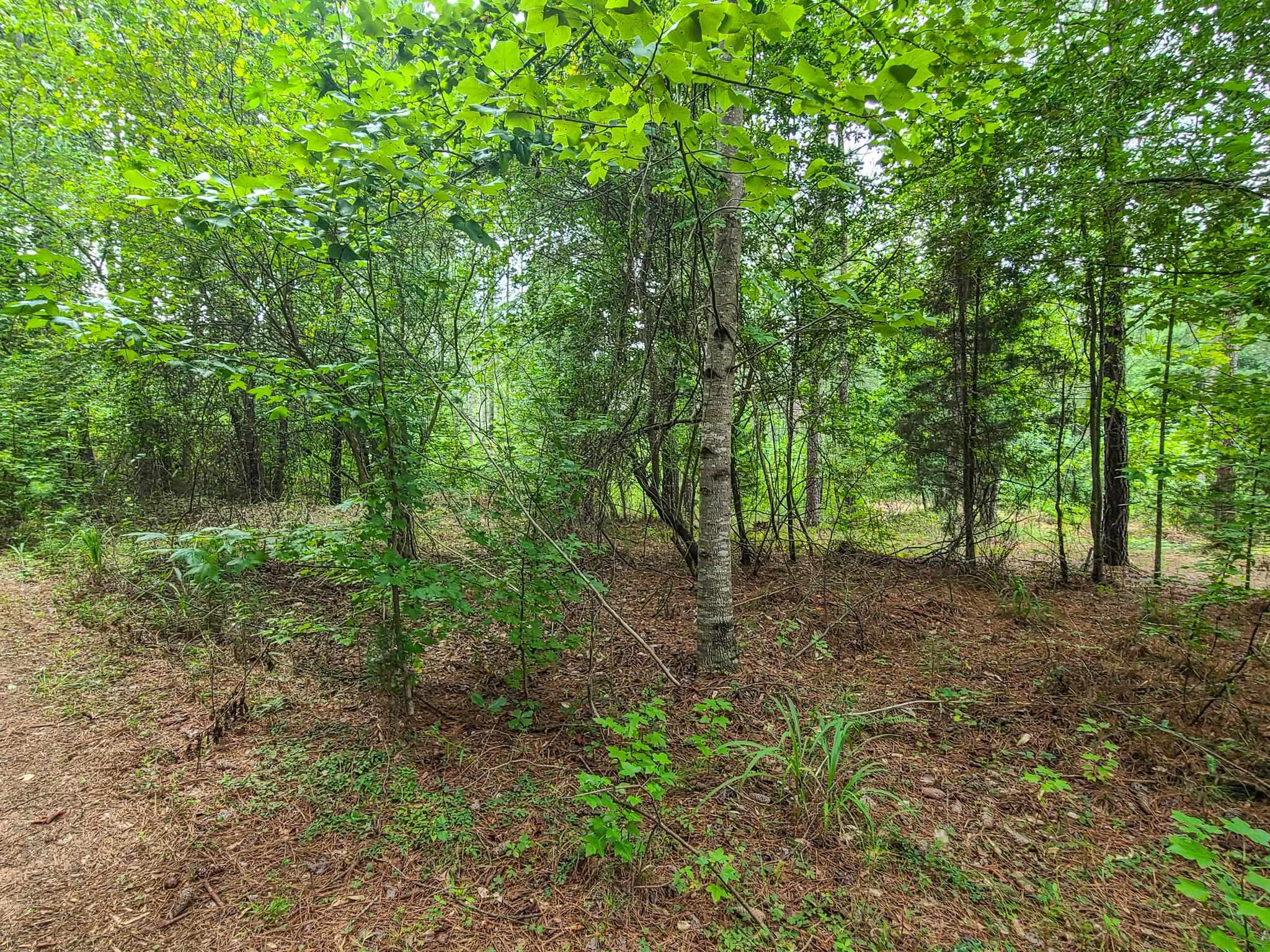 0 Dunklin Bridge Road Fountain Inn, SC 29644 - Photo 11 of 50