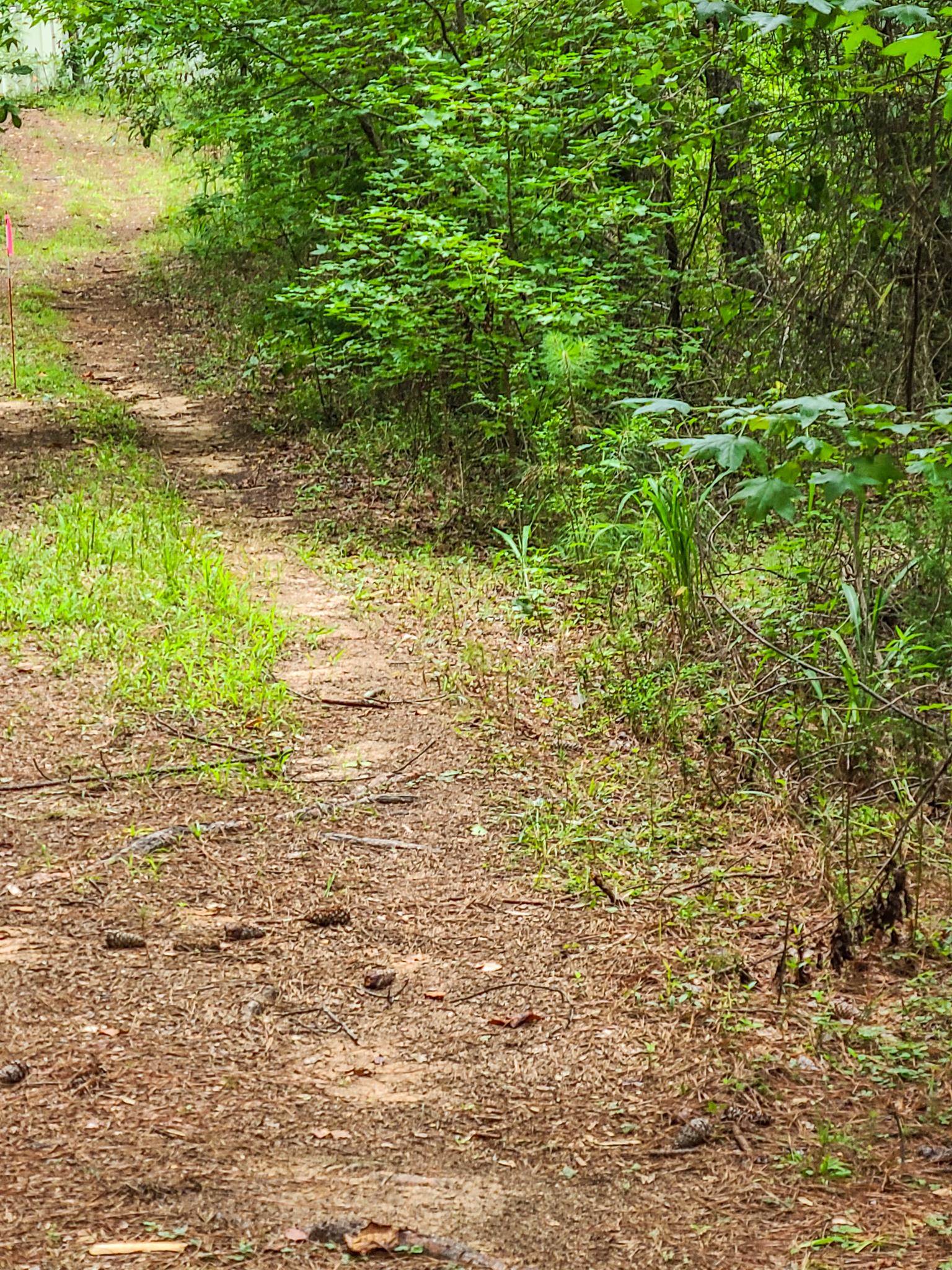 0 Dunklin Bridge Road Fountain Inn, SC 29644 - Photo 12 of 50