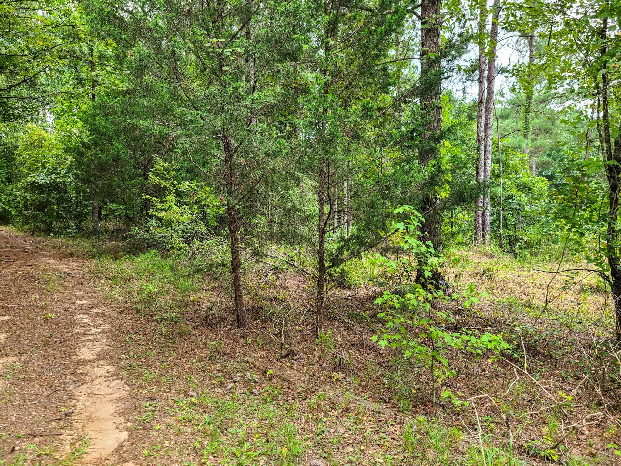 0 Dunklin Bridge Road Fountain Inn, SC 29644 - Photo 13 of 50