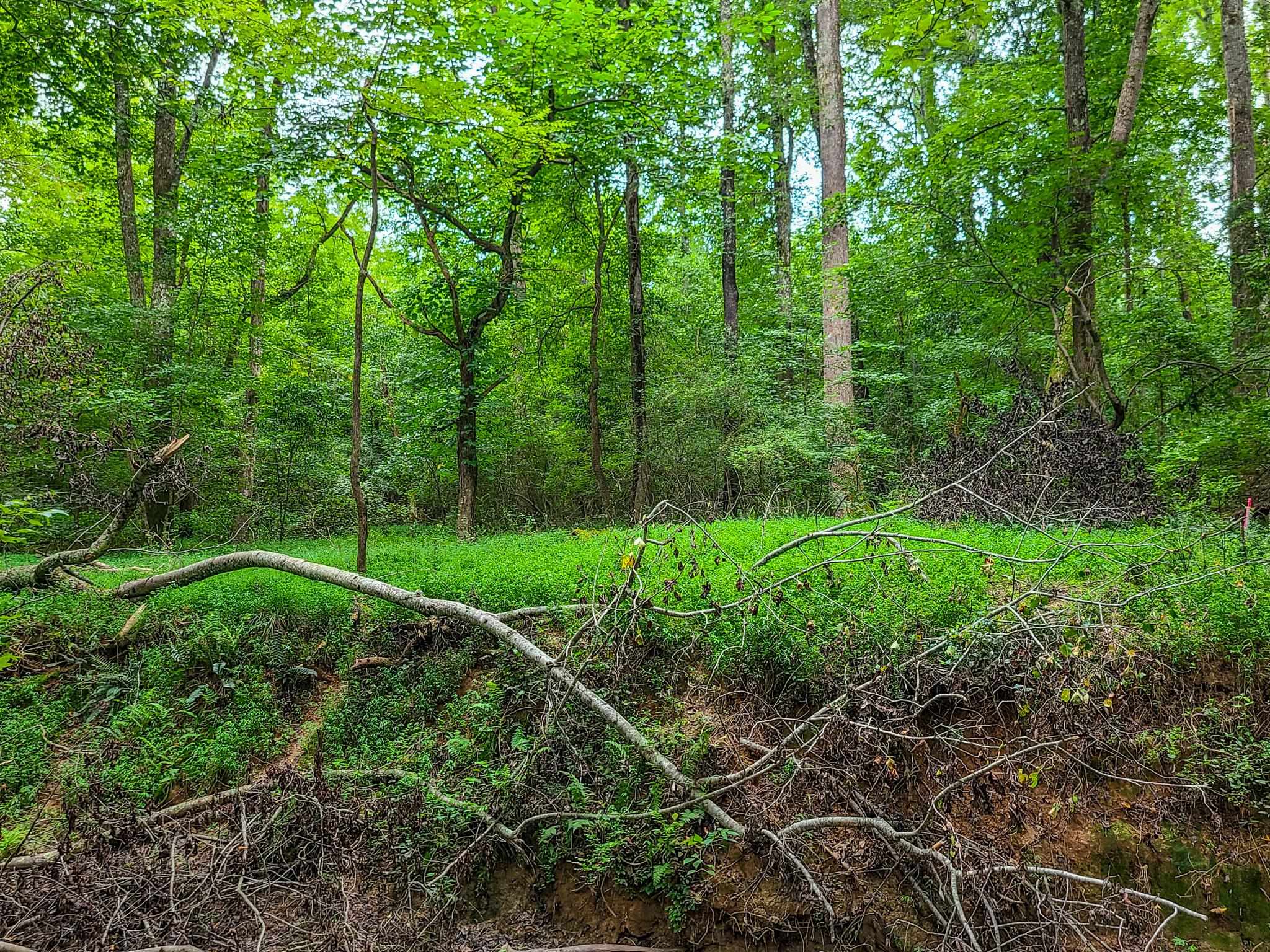 0 Dunklin Bridge Road Fountain Inn, SC 29644 - Photo 16 of 50