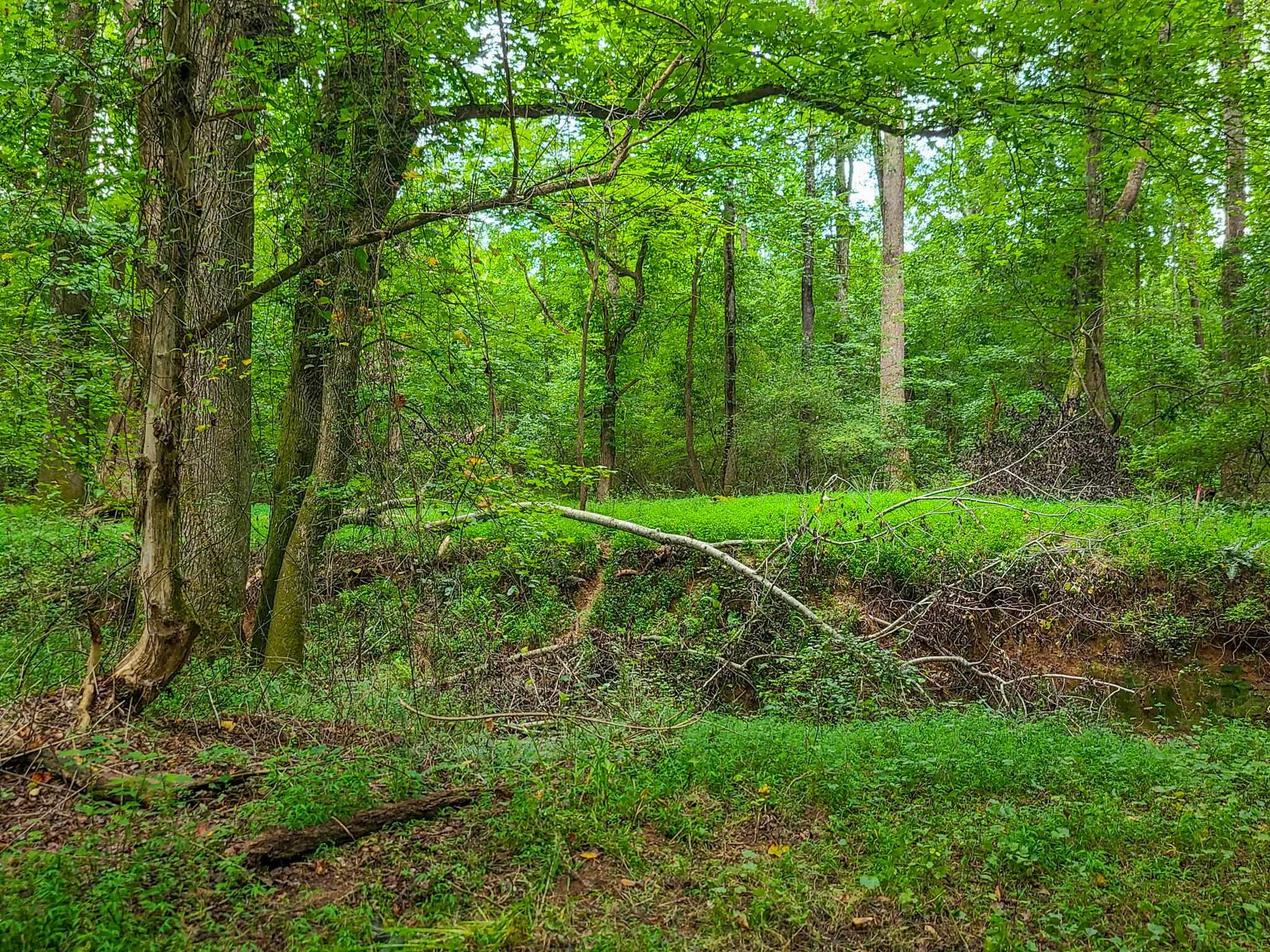 0 Dunklin Bridge Road Fountain Inn, SC 29644 - Photo 18 of 50
