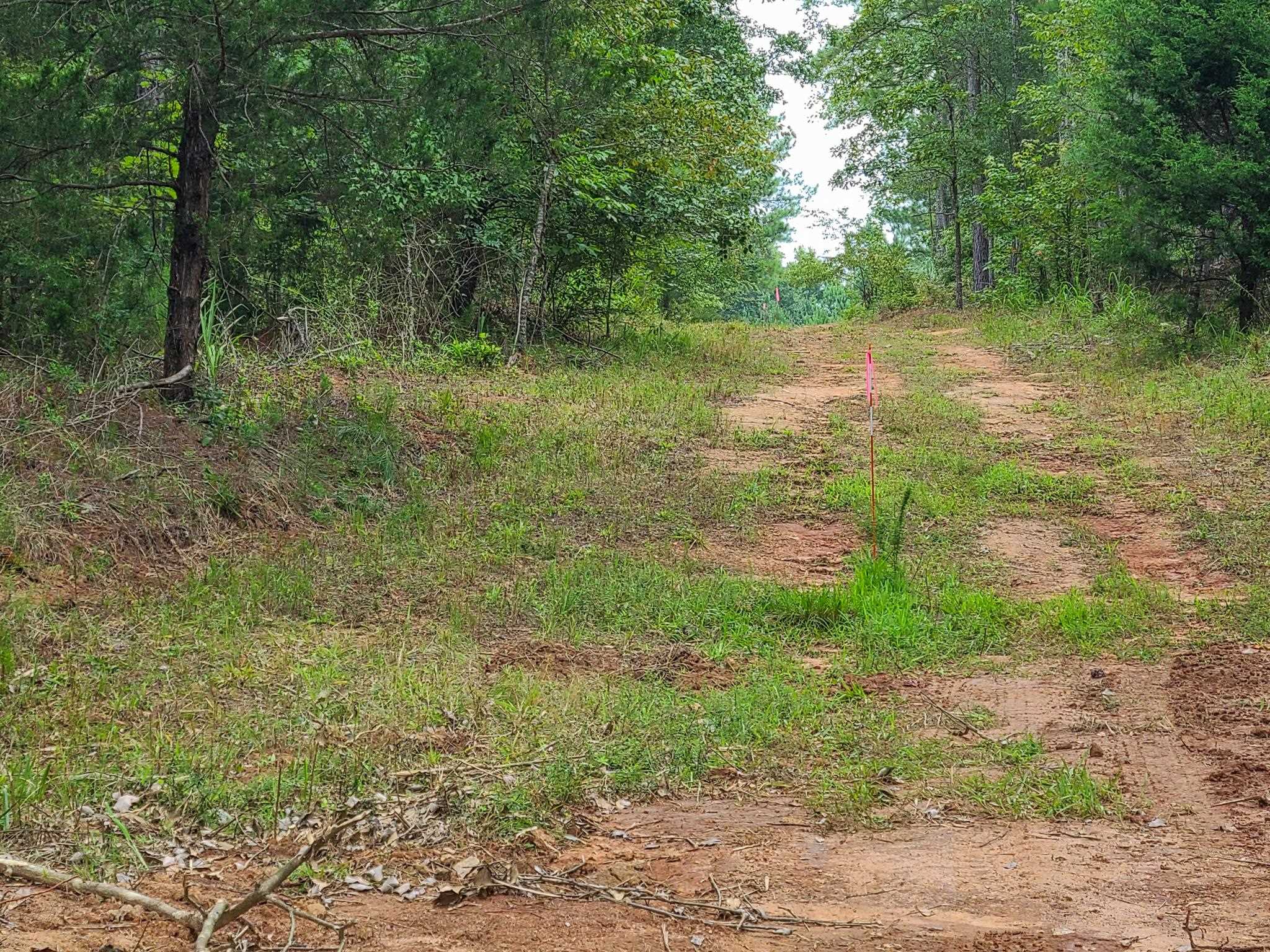 0 Dunklin Bridge Road Fountain Inn, SC 29644 - Photo 2 of 50