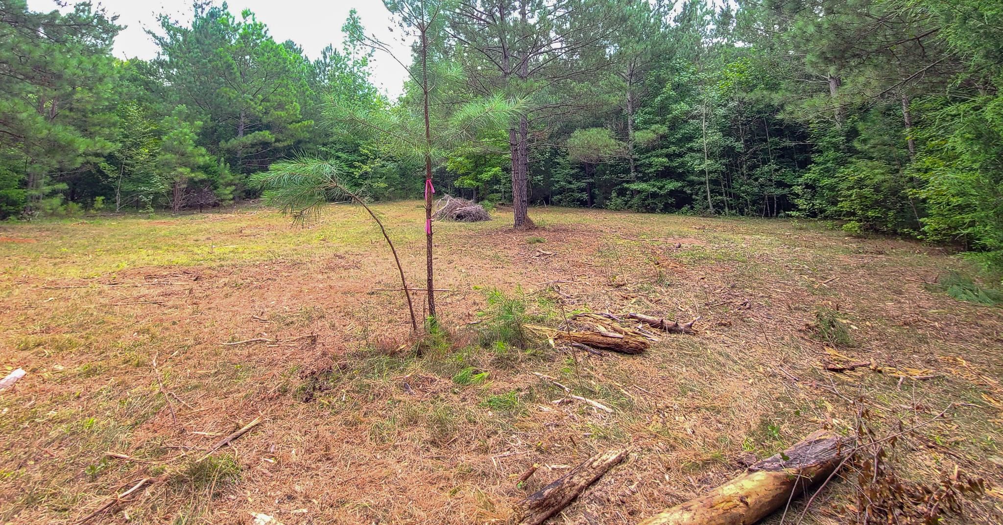 0 Dunklin Bridge Road Fountain Inn, SC 29644 - Photo 21 of 50