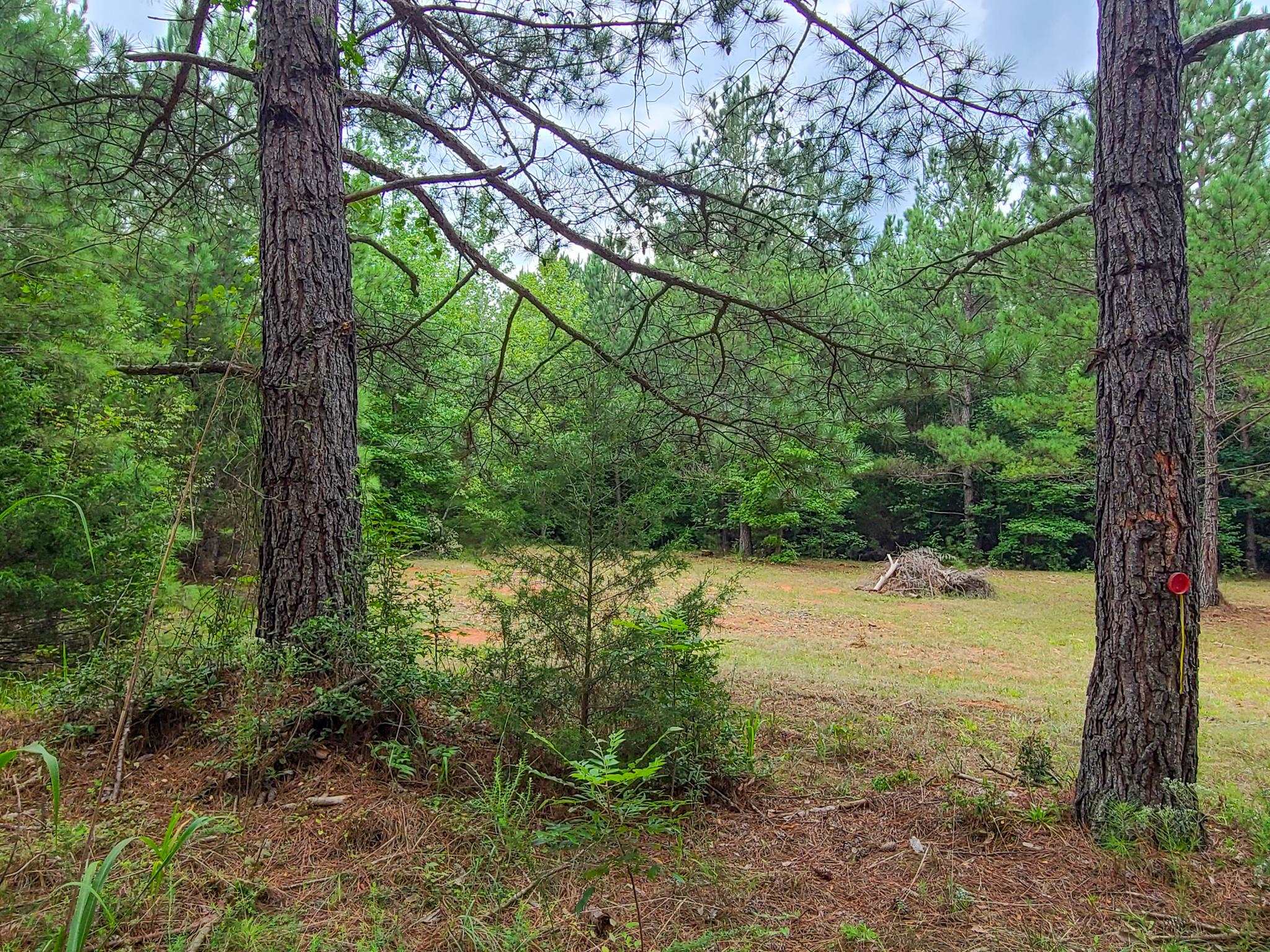0 Dunklin Bridge Road Fountain Inn, SC 29644 - Photo 22 of 50