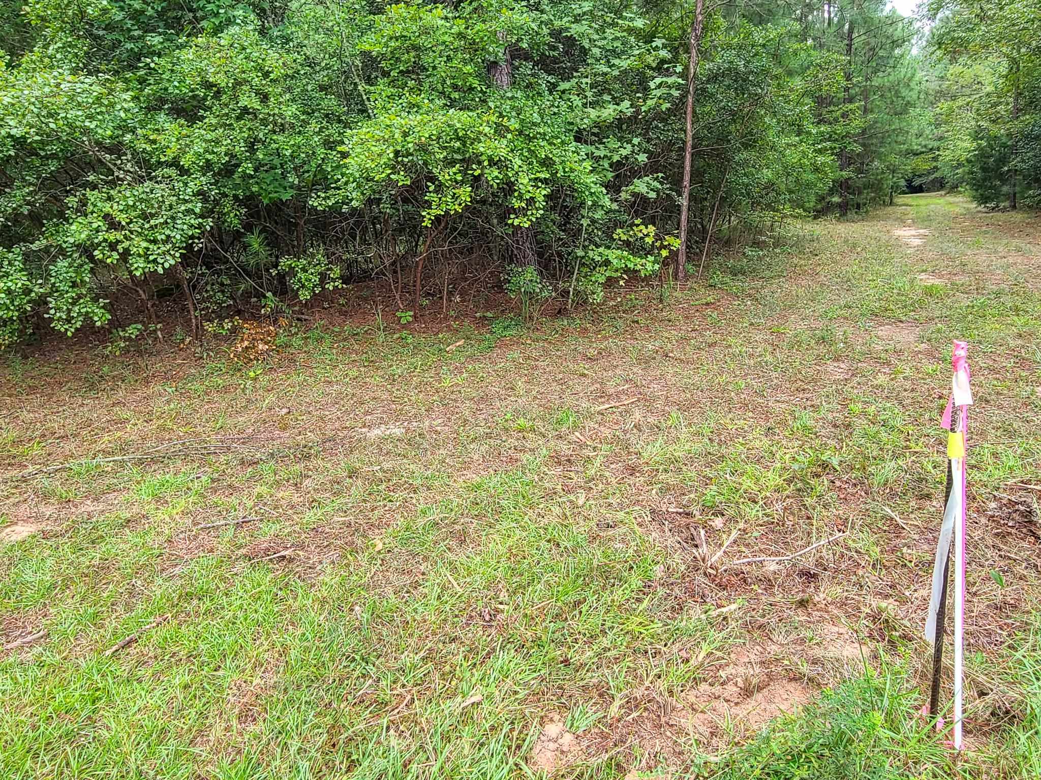 0 Dunklin Bridge Road Fountain Inn, SC 29644 - Photo 25 of 50