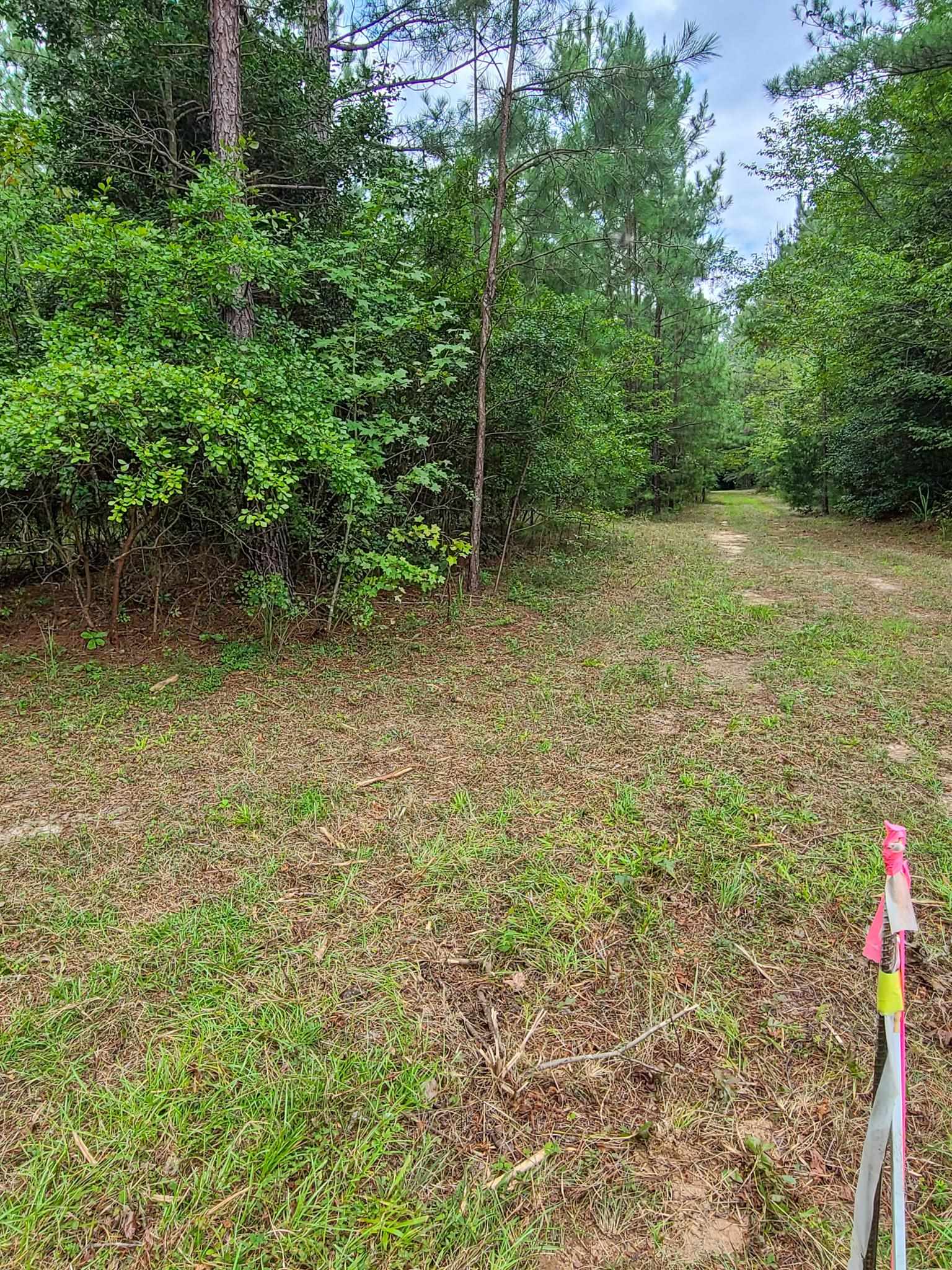 0 Dunklin Bridge Road Fountain Inn, SC 29644 - Photo 26 of 50