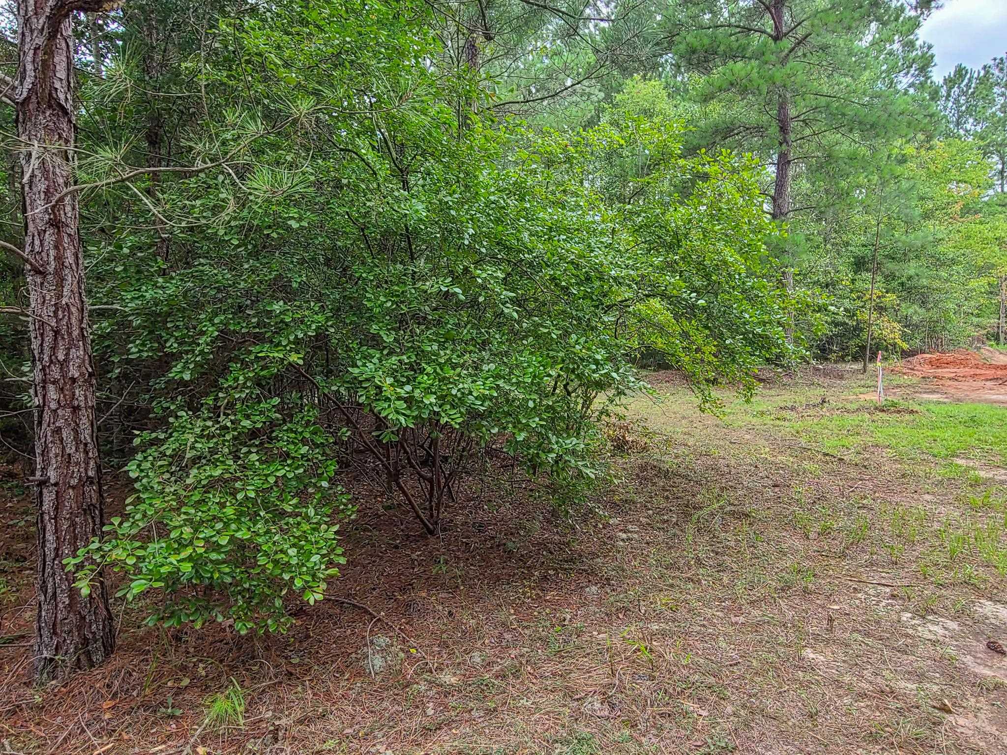 0 Dunklin Bridge Road Fountain Inn, SC 29644 - Photo 27 of 50