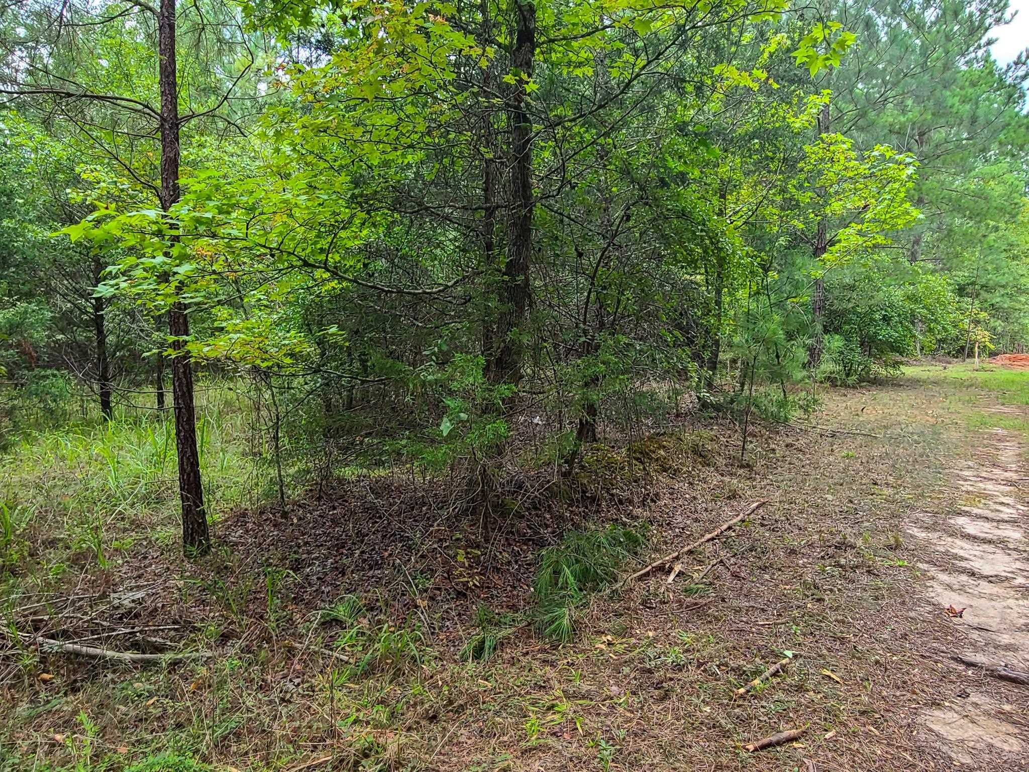 0 Dunklin Bridge Road Fountain Inn, SC 29644 - Photo 28 of 50