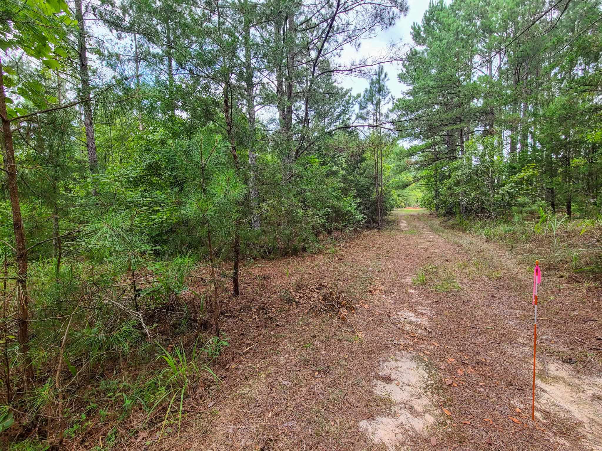 0 Dunklin Bridge Road Fountain Inn, SC 29644 - Photo 29 of 50