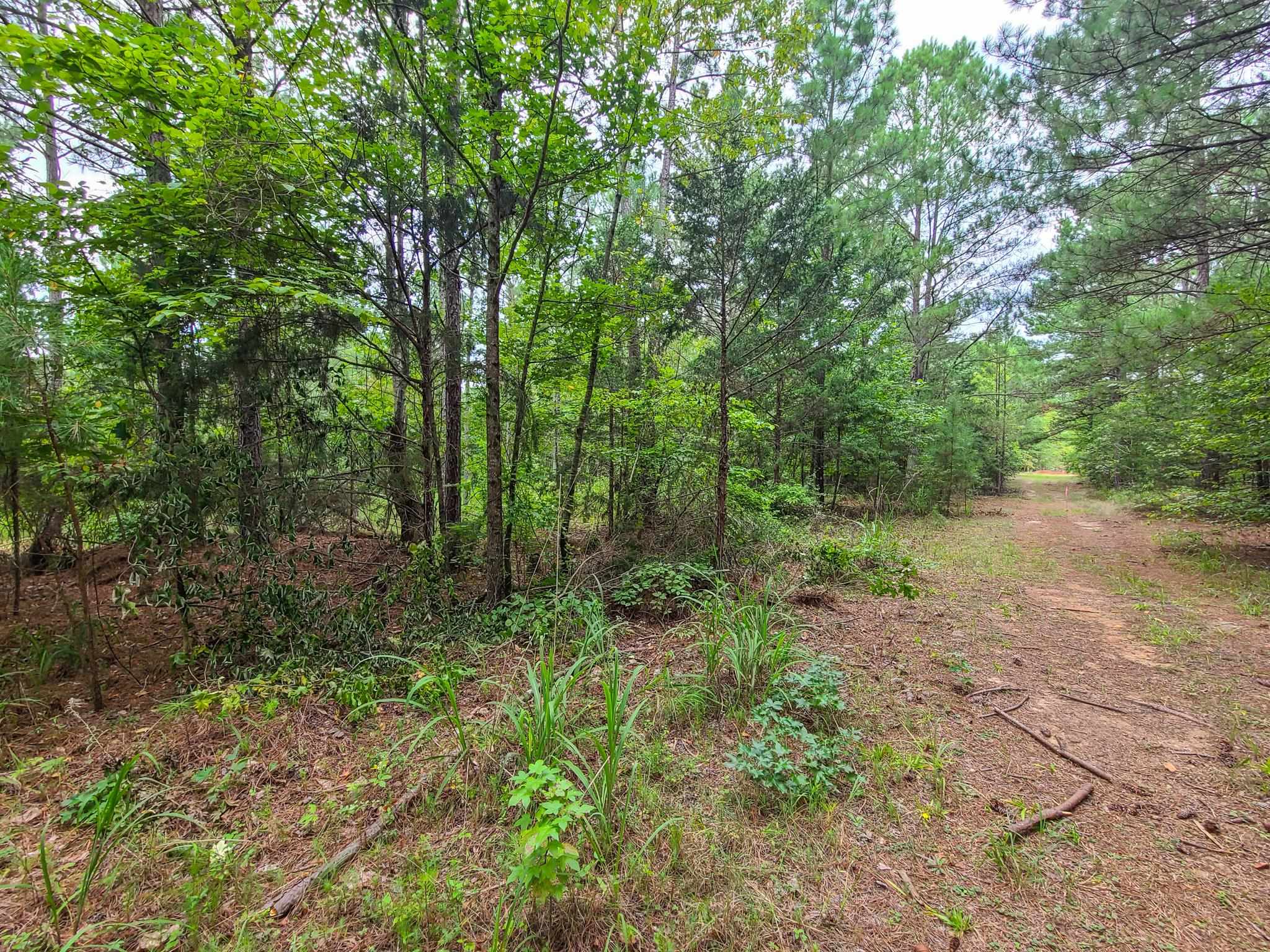 0 Dunklin Bridge Road Fountain Inn, SC 29644 - Photo 30 of 50
