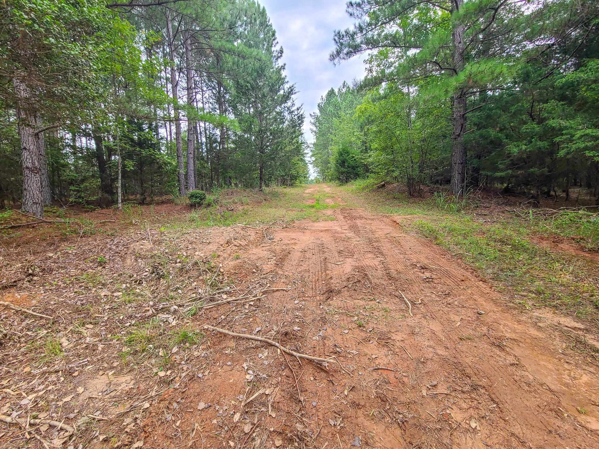 0 Dunklin Bridge Road Fountain Inn, SC 29644 - Photo 3 of 50