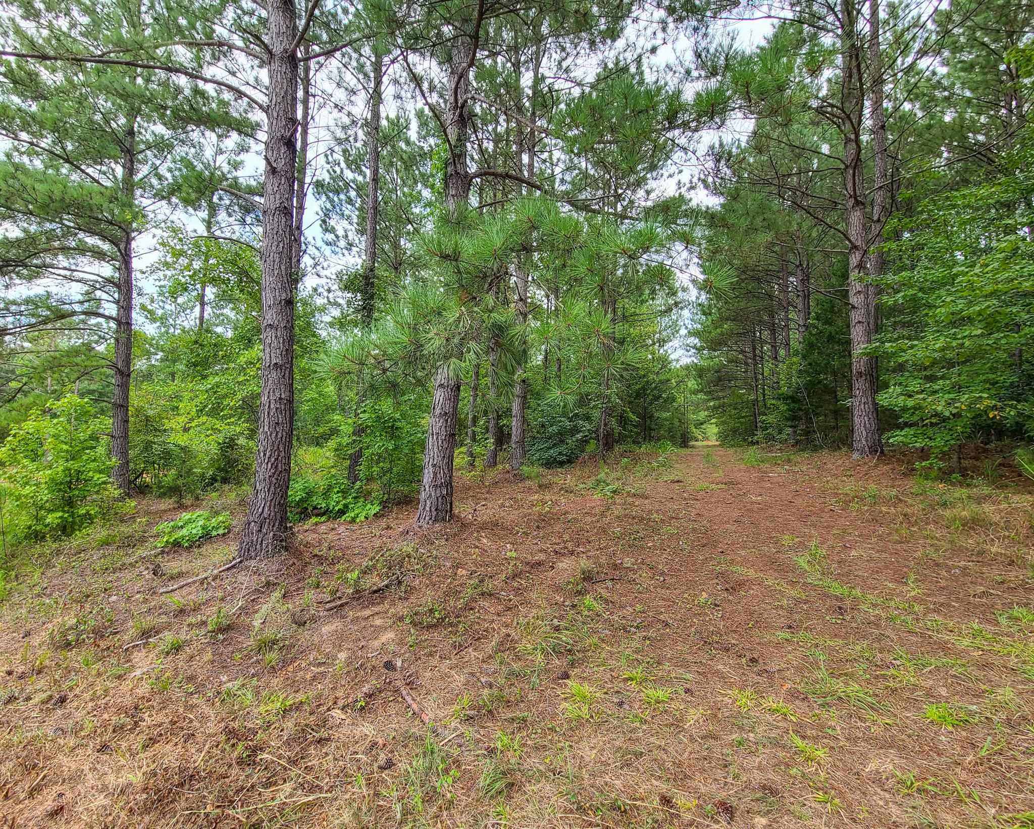 0 Dunklin Bridge Road Fountain Inn, SC 29644 - Photo 31 of 50