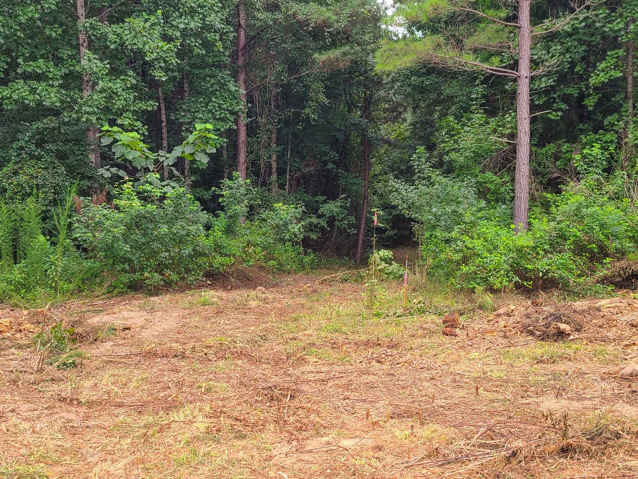 0 Dunklin Bridge Road Fountain Inn, SC 29644 - Photo 33 of 50