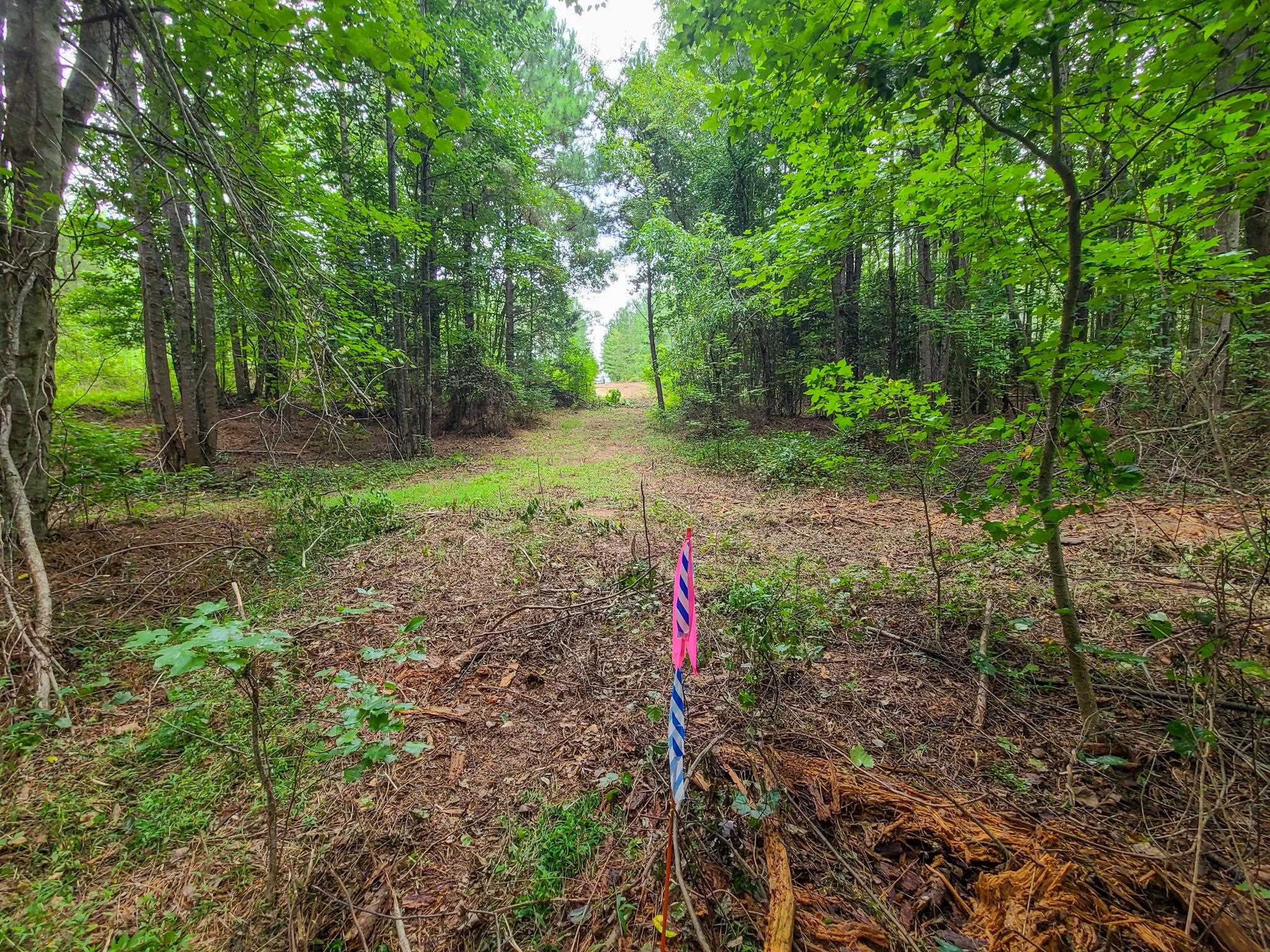 0 Dunklin Bridge Road Fountain Inn, SC 29644 - Photo 35 of 50