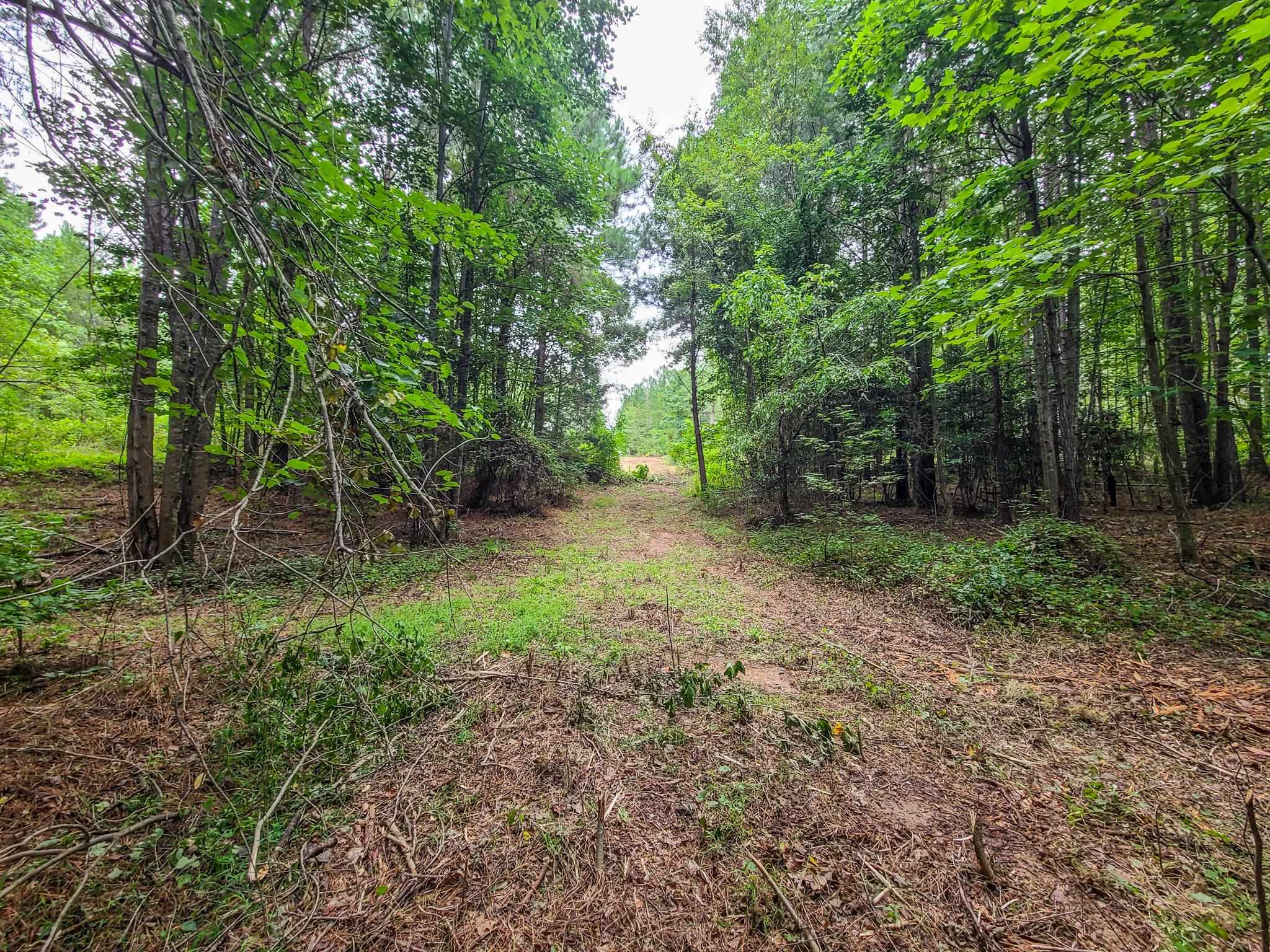 0 Dunklin Bridge Road Fountain Inn, SC 29644 - Photo 36 of 50