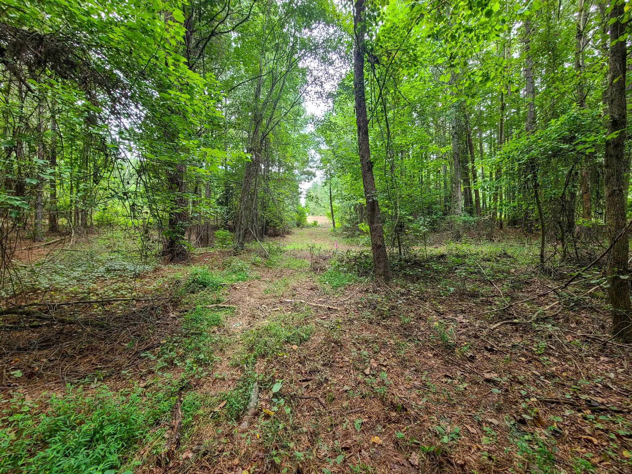 0 Dunklin Bridge Road Fountain Inn, SC 29644 - Photo 37 of 50