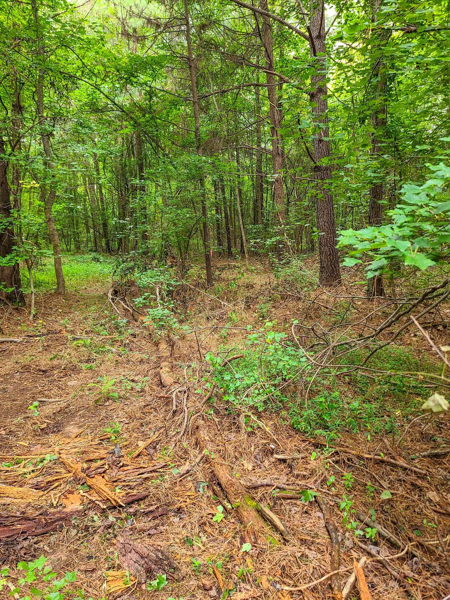 0 Dunklin Bridge Road Fountain Inn, SC 29644 - Photo 39 of 50