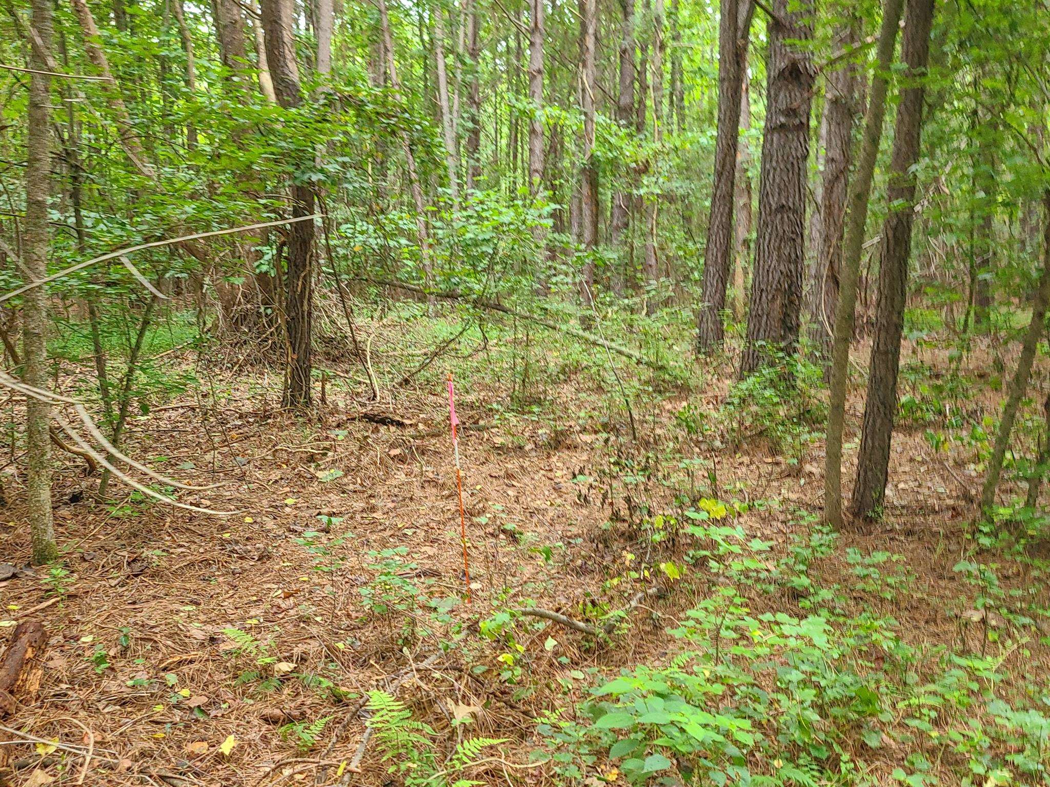 0 Dunklin Bridge Road Fountain Inn, SC 29644 - Photo 40 of 50