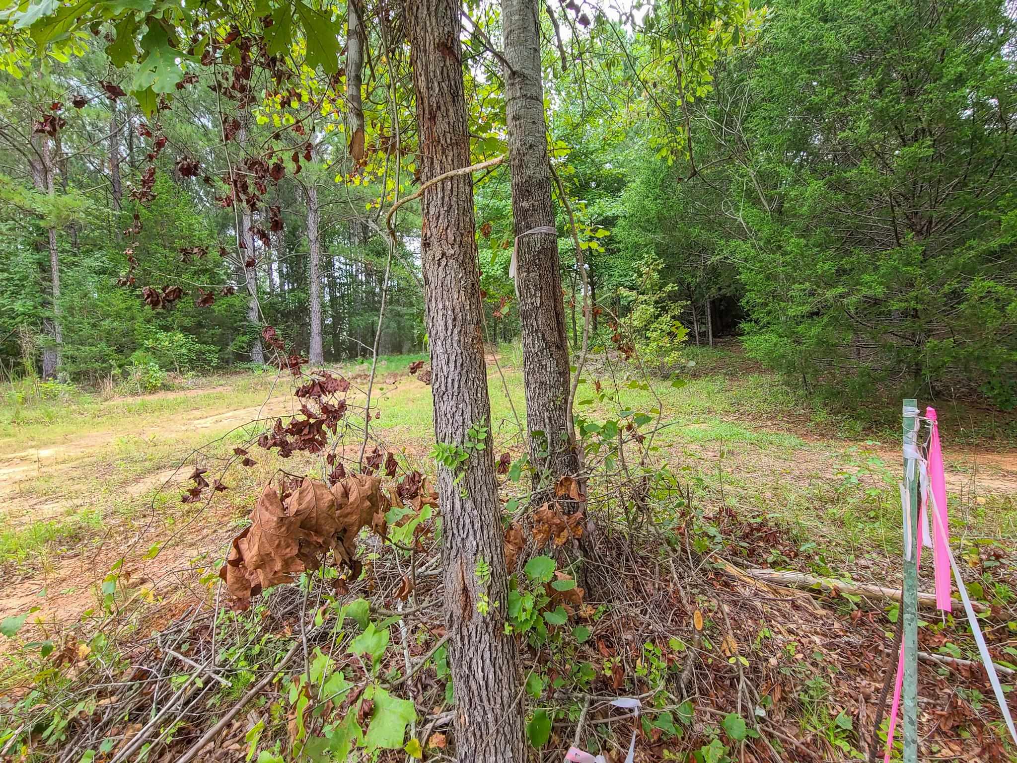 0 Dunklin Bridge Road Fountain Inn, SC 29644 - Photo 4 of 50