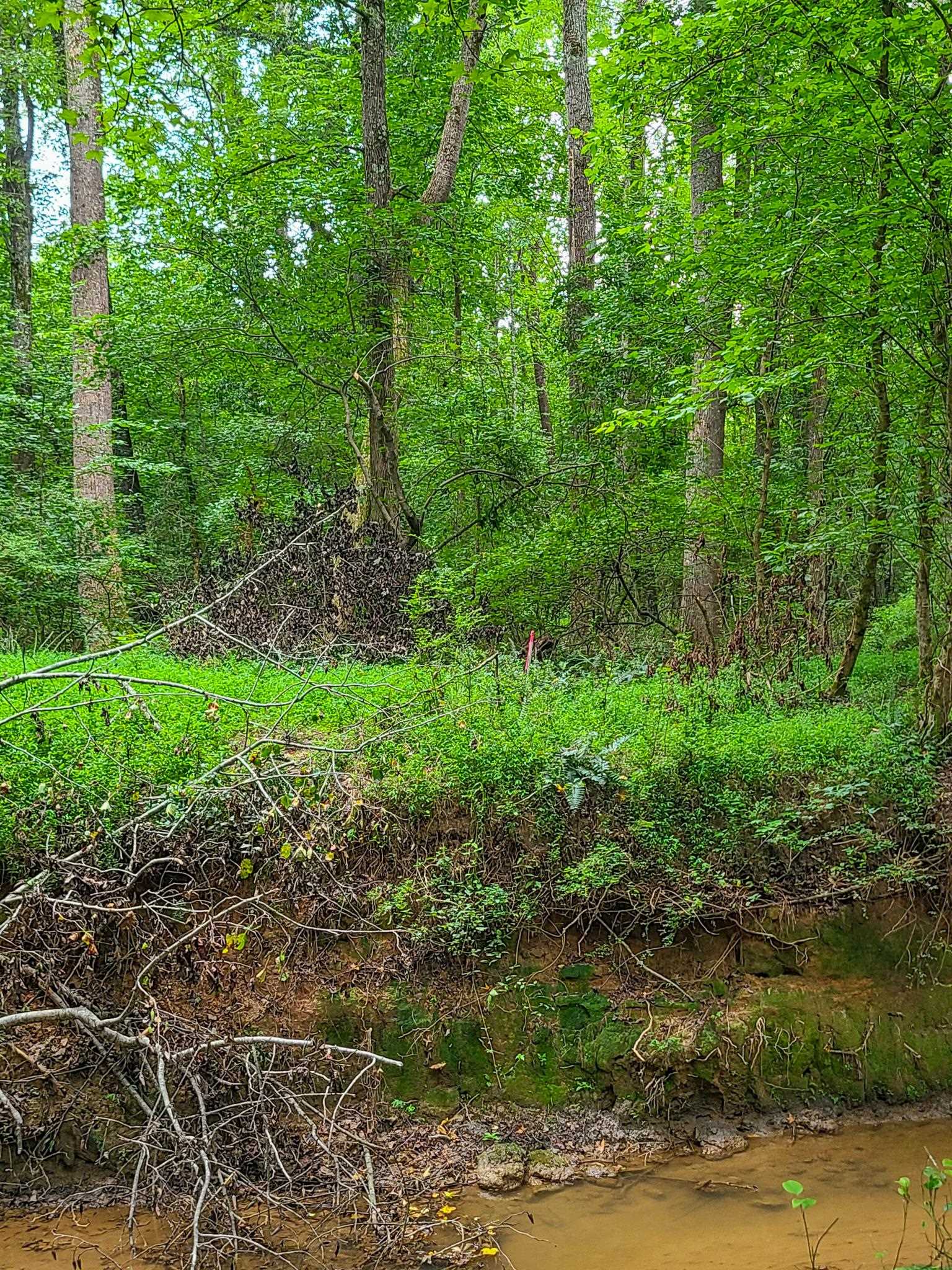 0 Dunklin Bridge Road Fountain Inn, SC 29644 - Photo 49 of 50