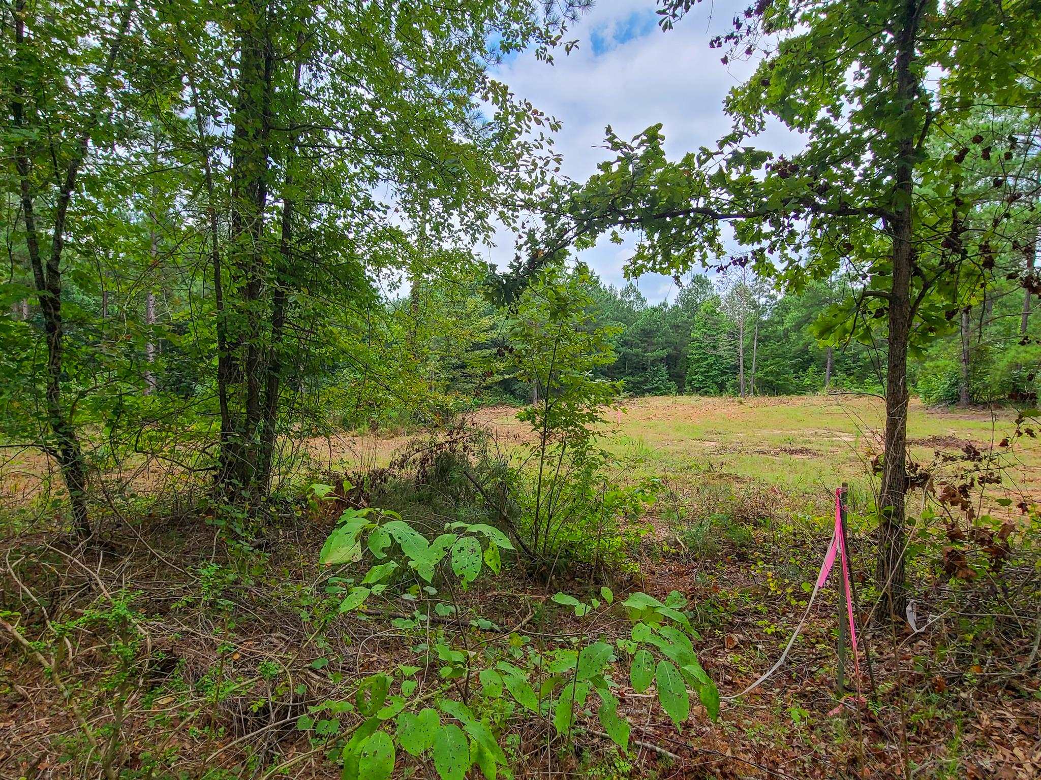 0 Dunklin Bridge Road Fountain Inn, SC 29644 - Photo 5 of 50