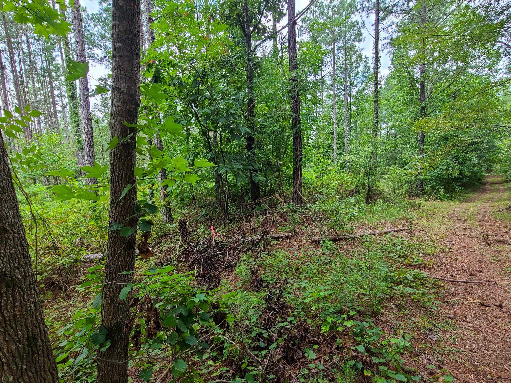 0 Dunklin Bridge Road Fountain Inn, SC 29644 - Photo 6 of 50