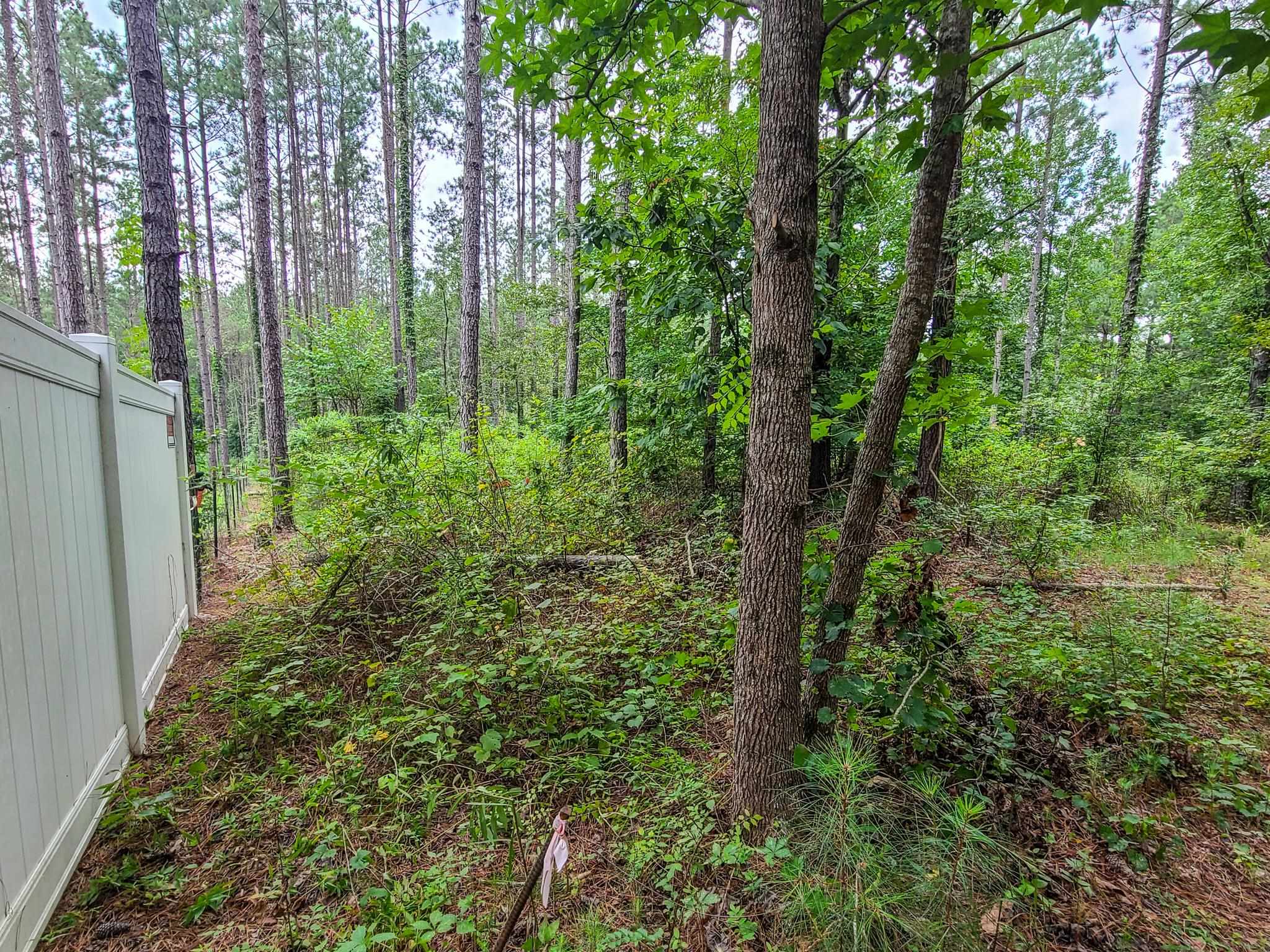0 Dunklin Bridge Road Fountain Inn, SC 29644 - Photo 7 of 50