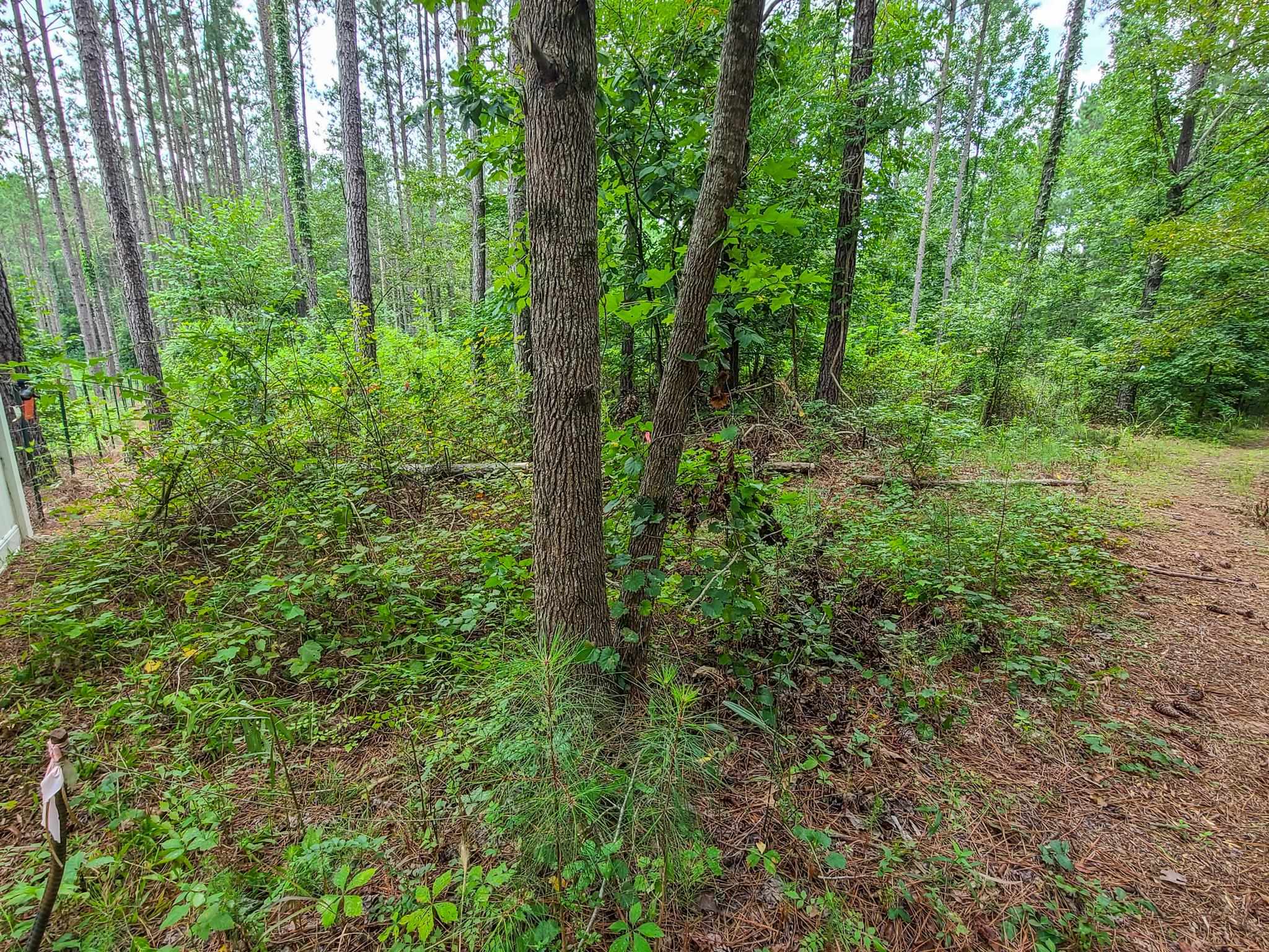 0 Dunklin Bridge Road Fountain Inn, SC 29644 - Photo 8 of 50